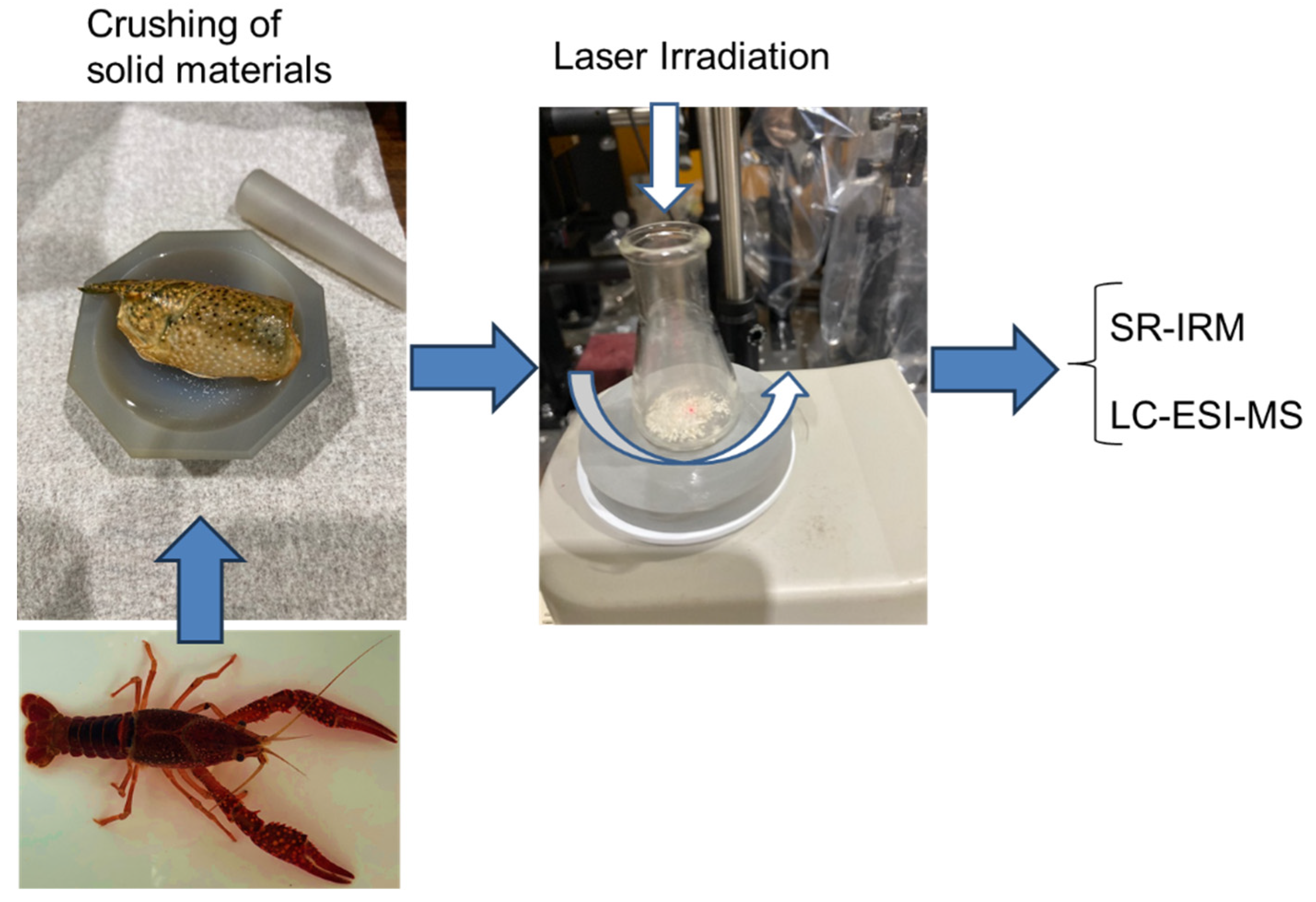 Preprints 168312 g004