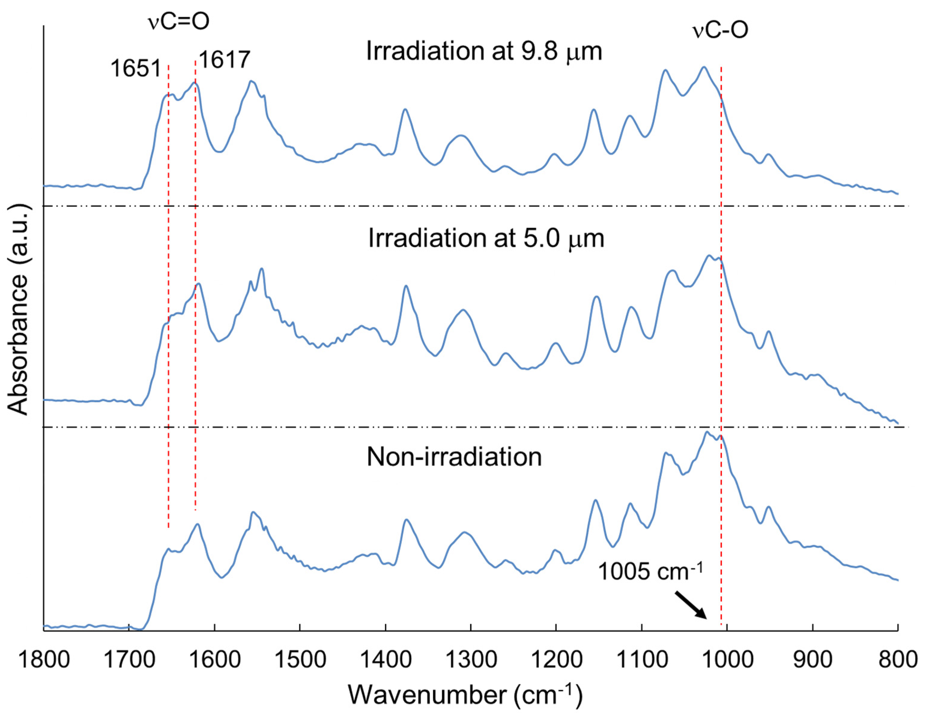 Preprints 168312 g007