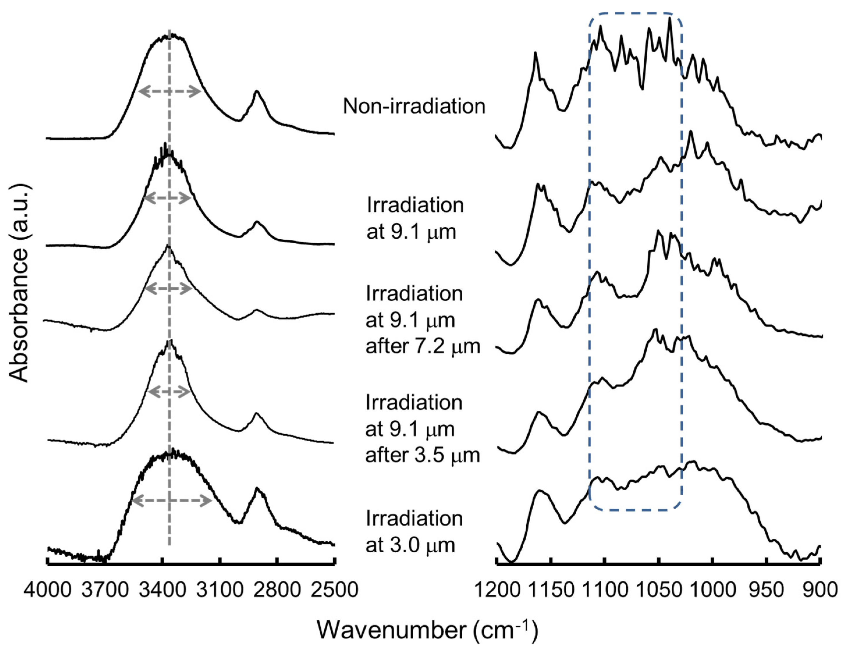 Preprints 168312 g009
