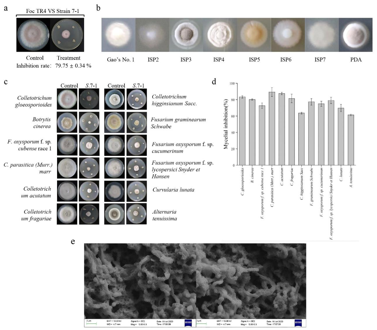 Preprints 210214 g001