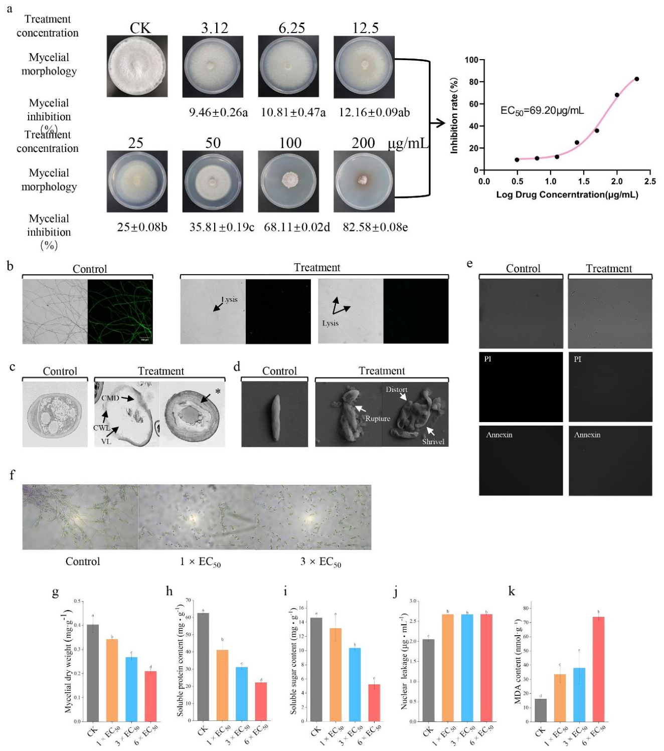 Preprints 210214 g002