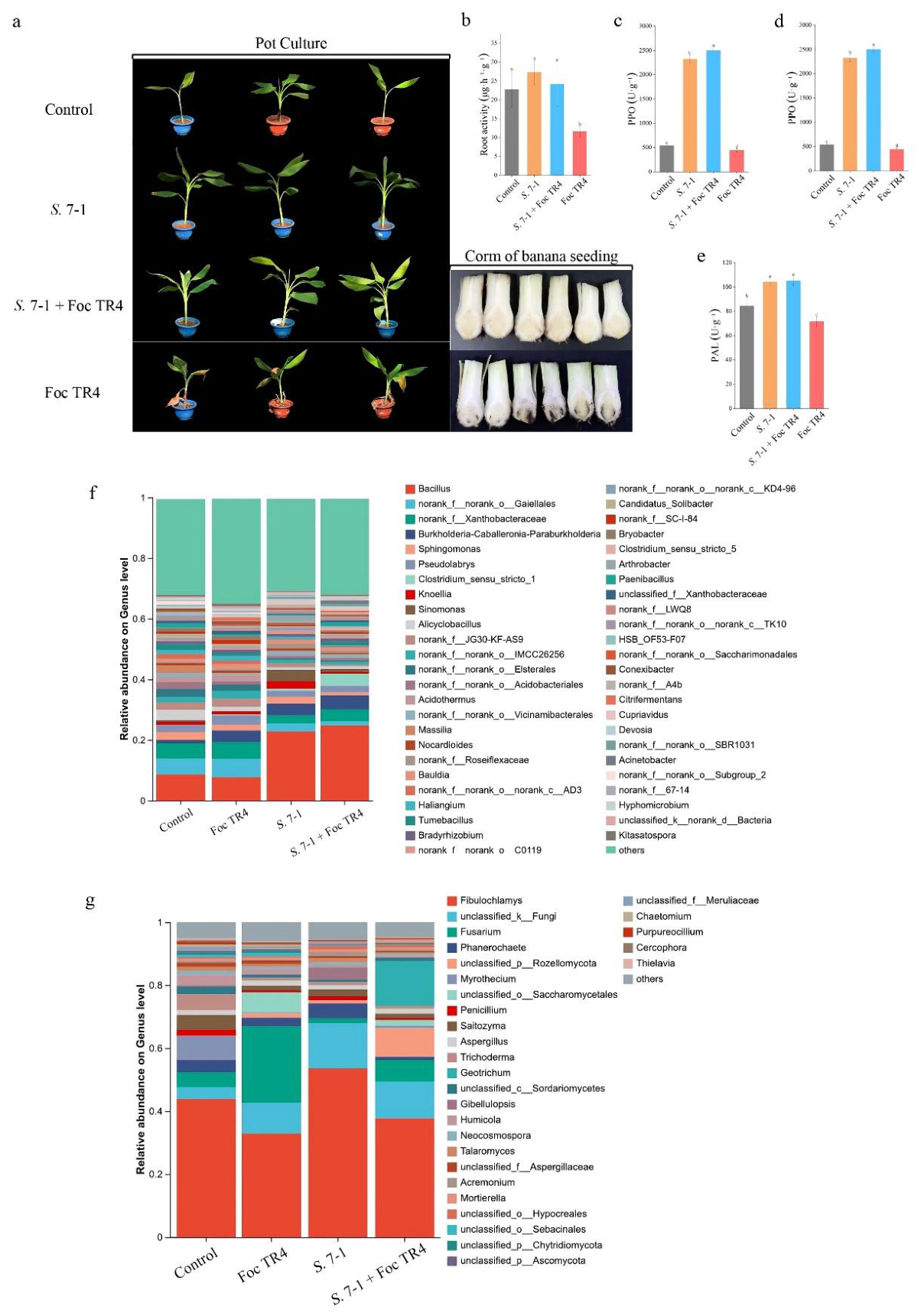 Preprints 210214 g003