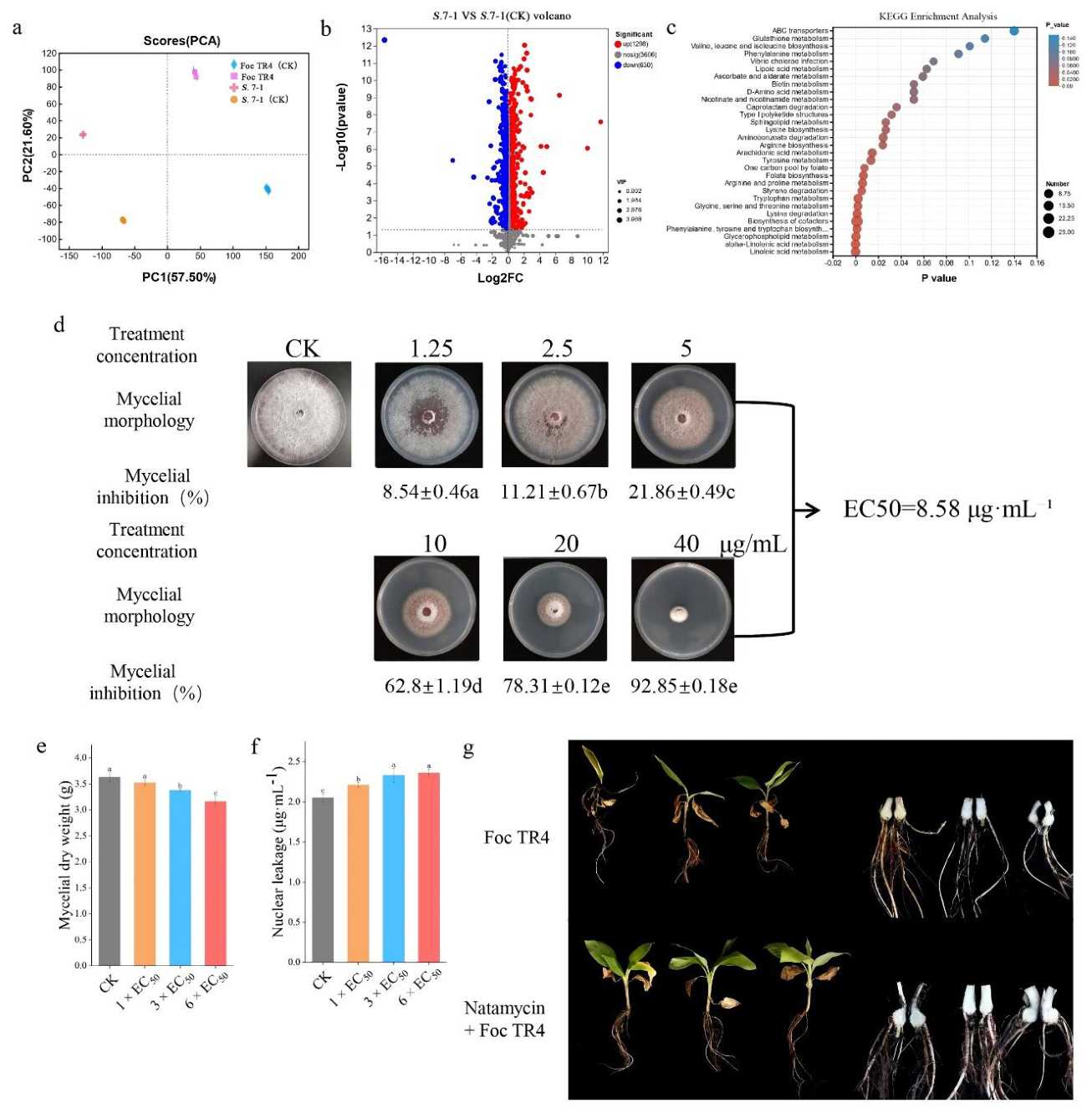 Preprints 210214 g004