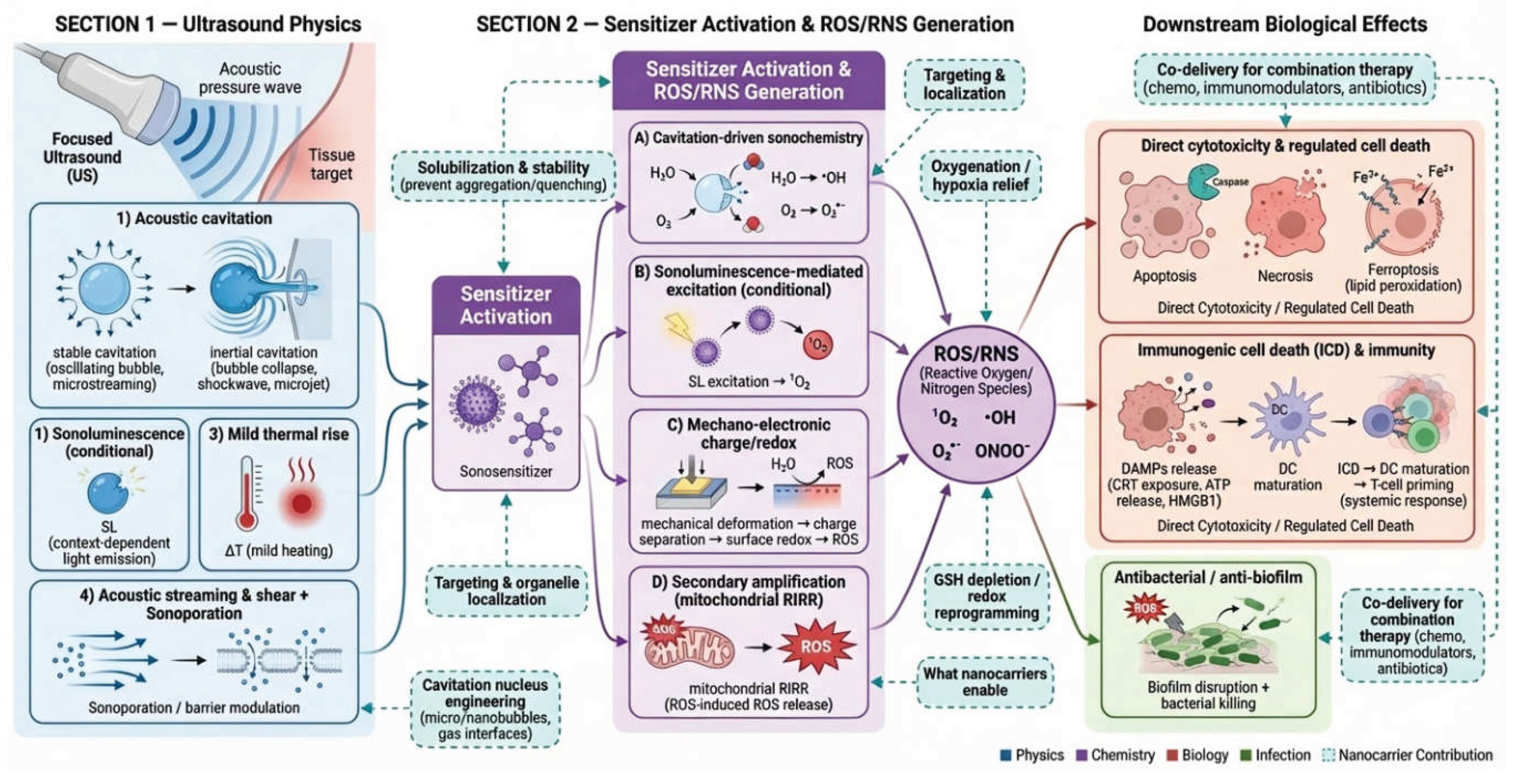 Preprints 196800 g002