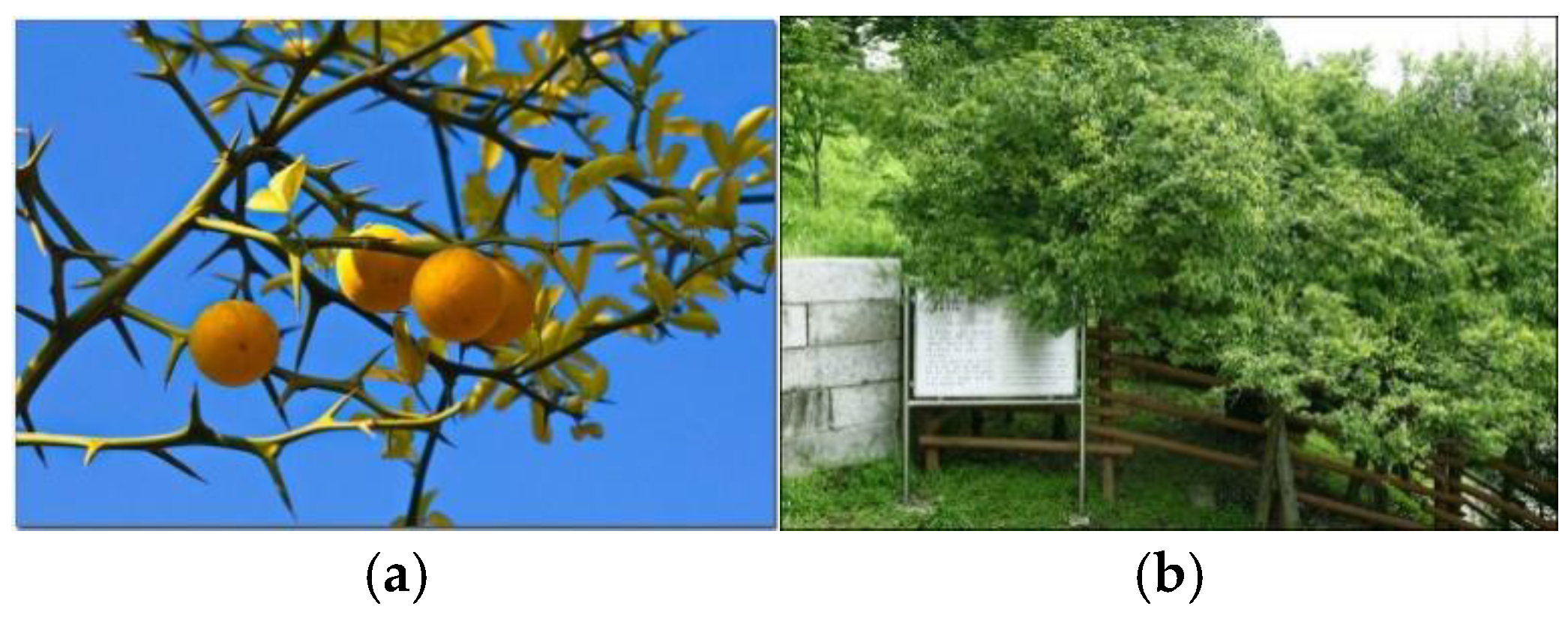 Preprints 168782 g012