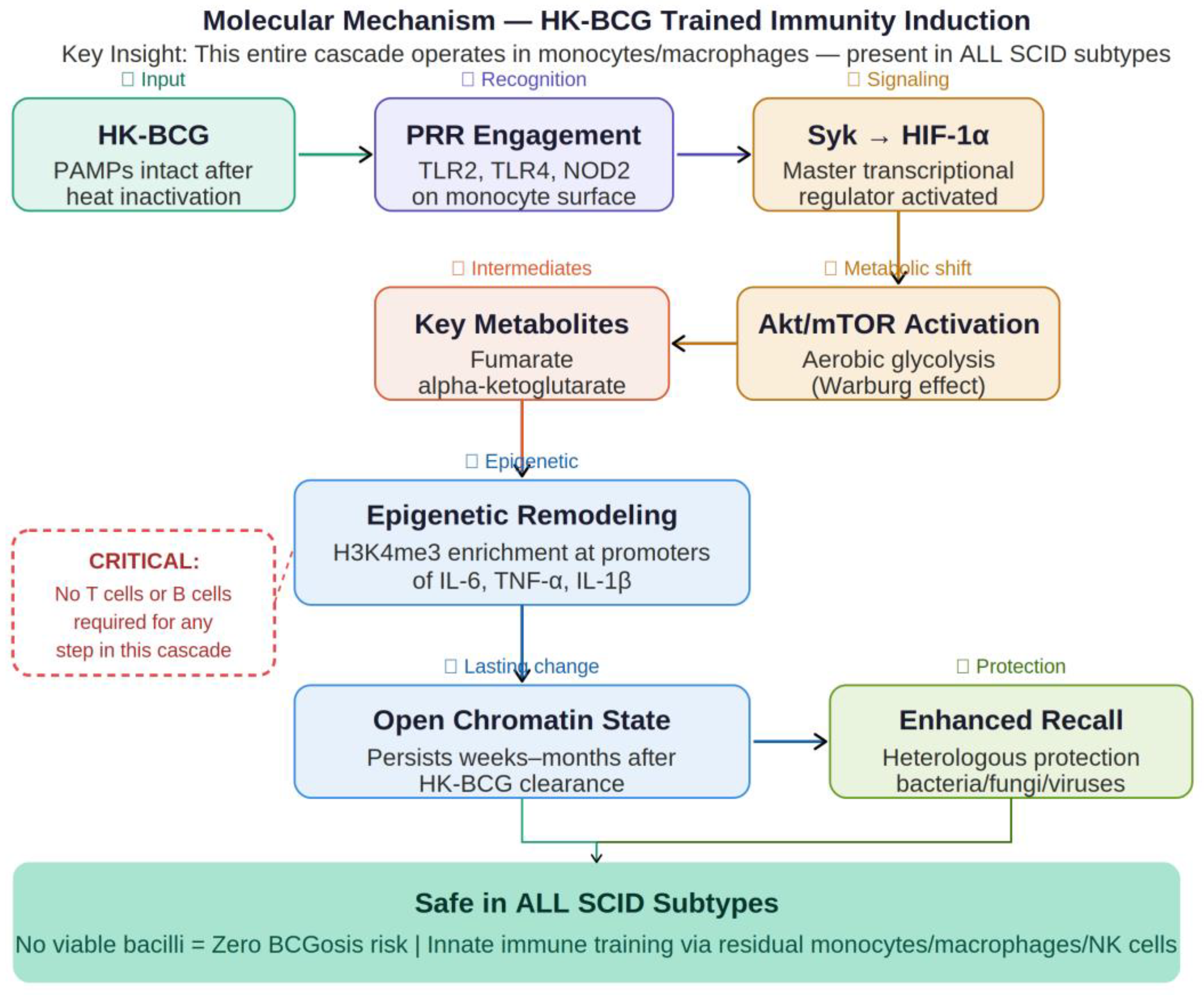 Preprints 207923 g001