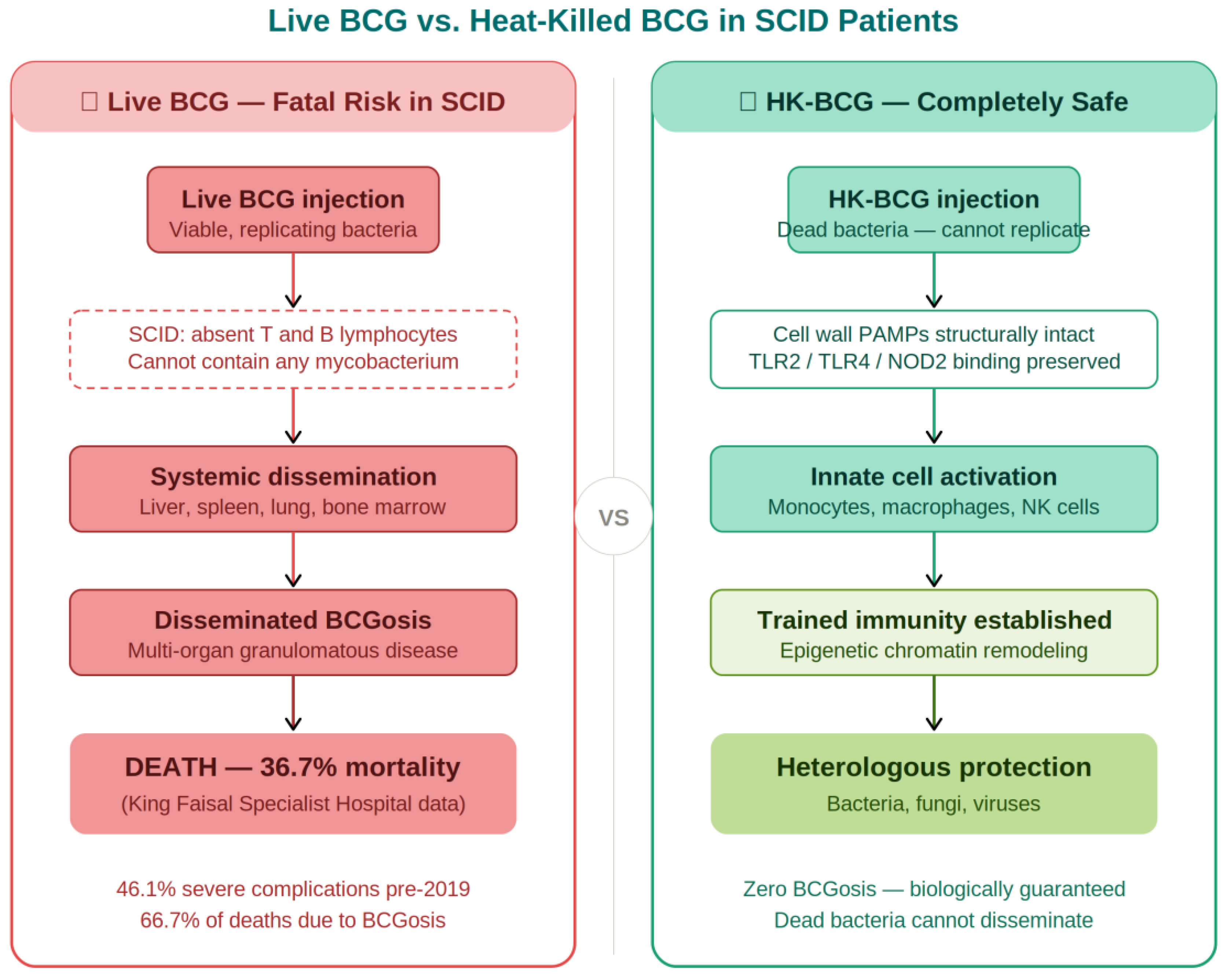 Preprints 207923 g002