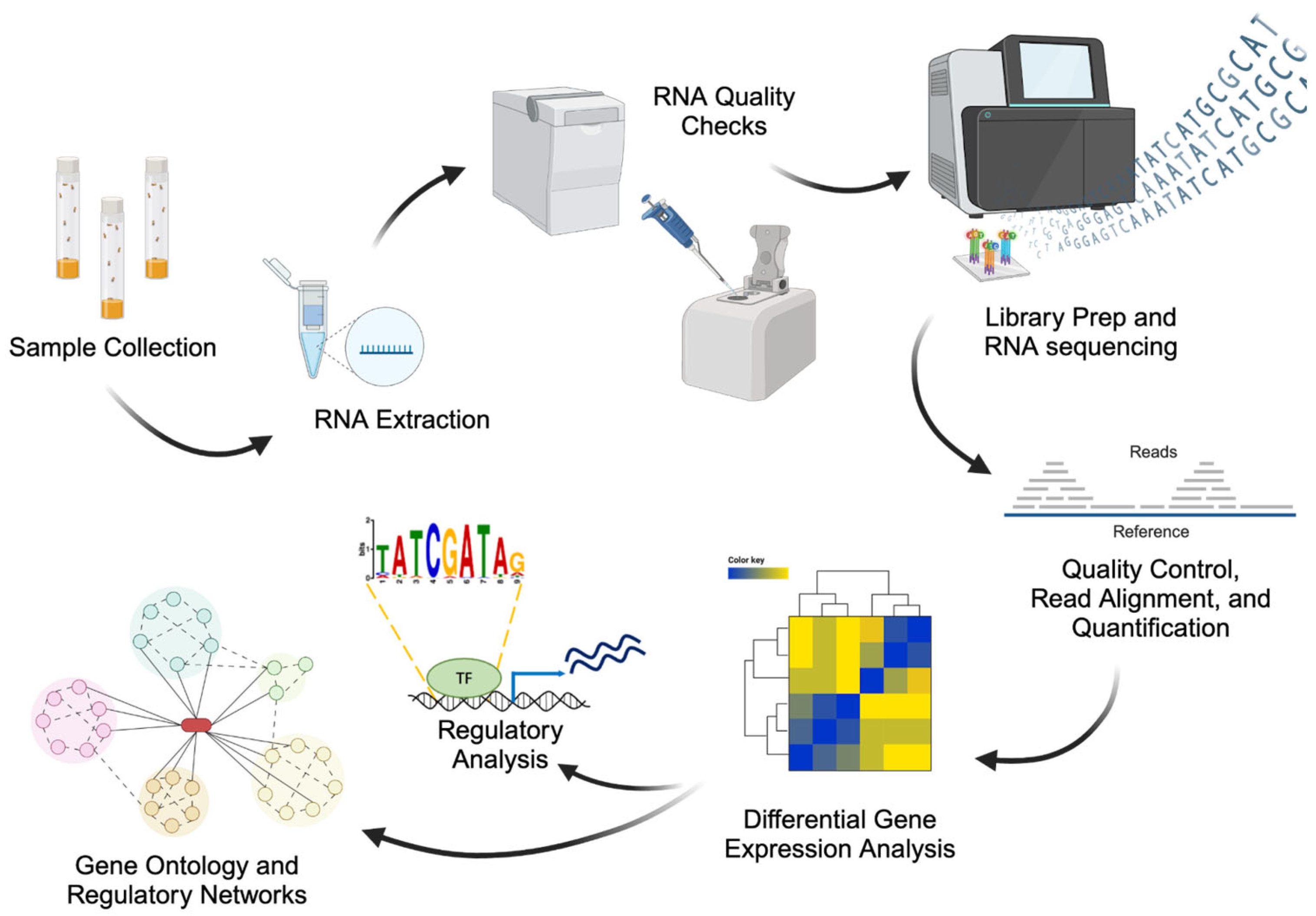 Preprints 179130 g002