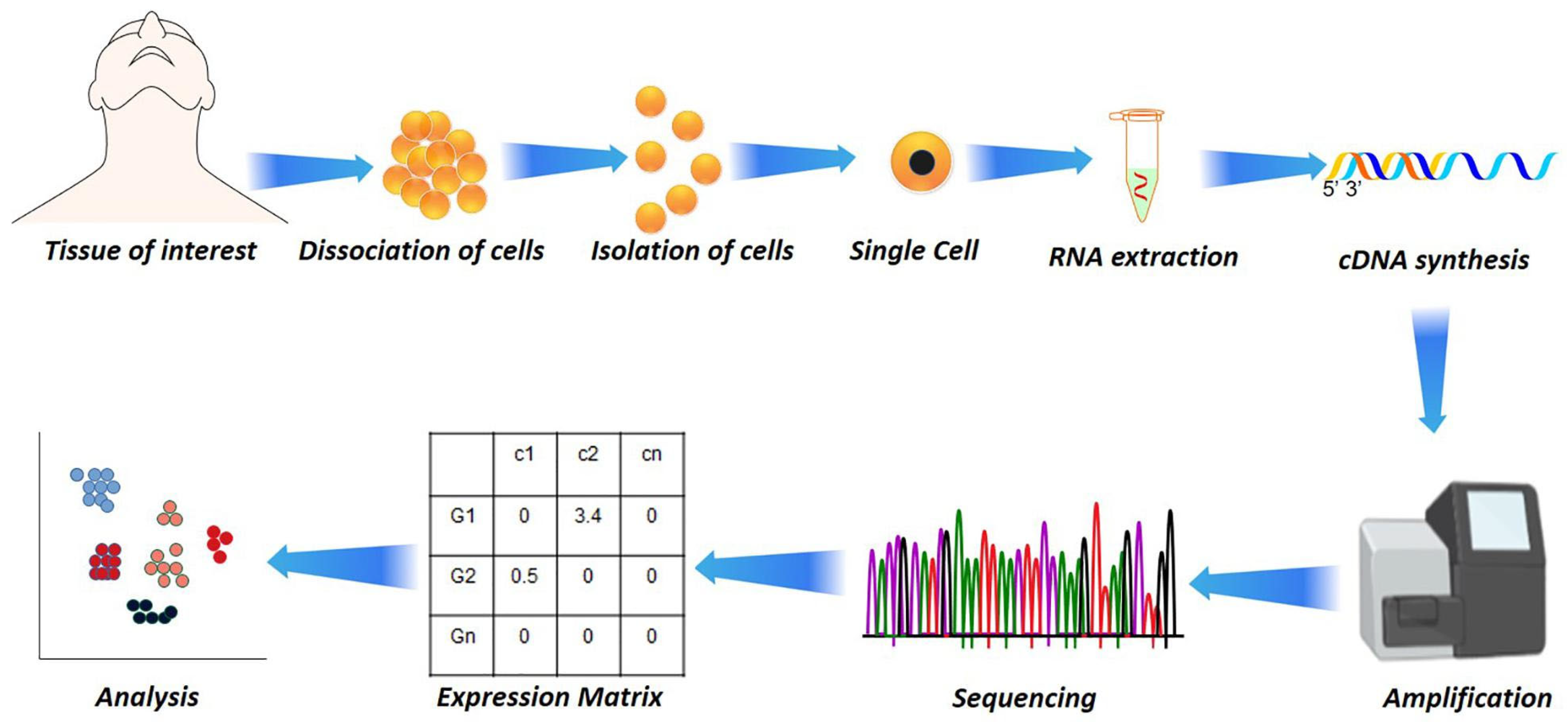 Preprints 179130 g003