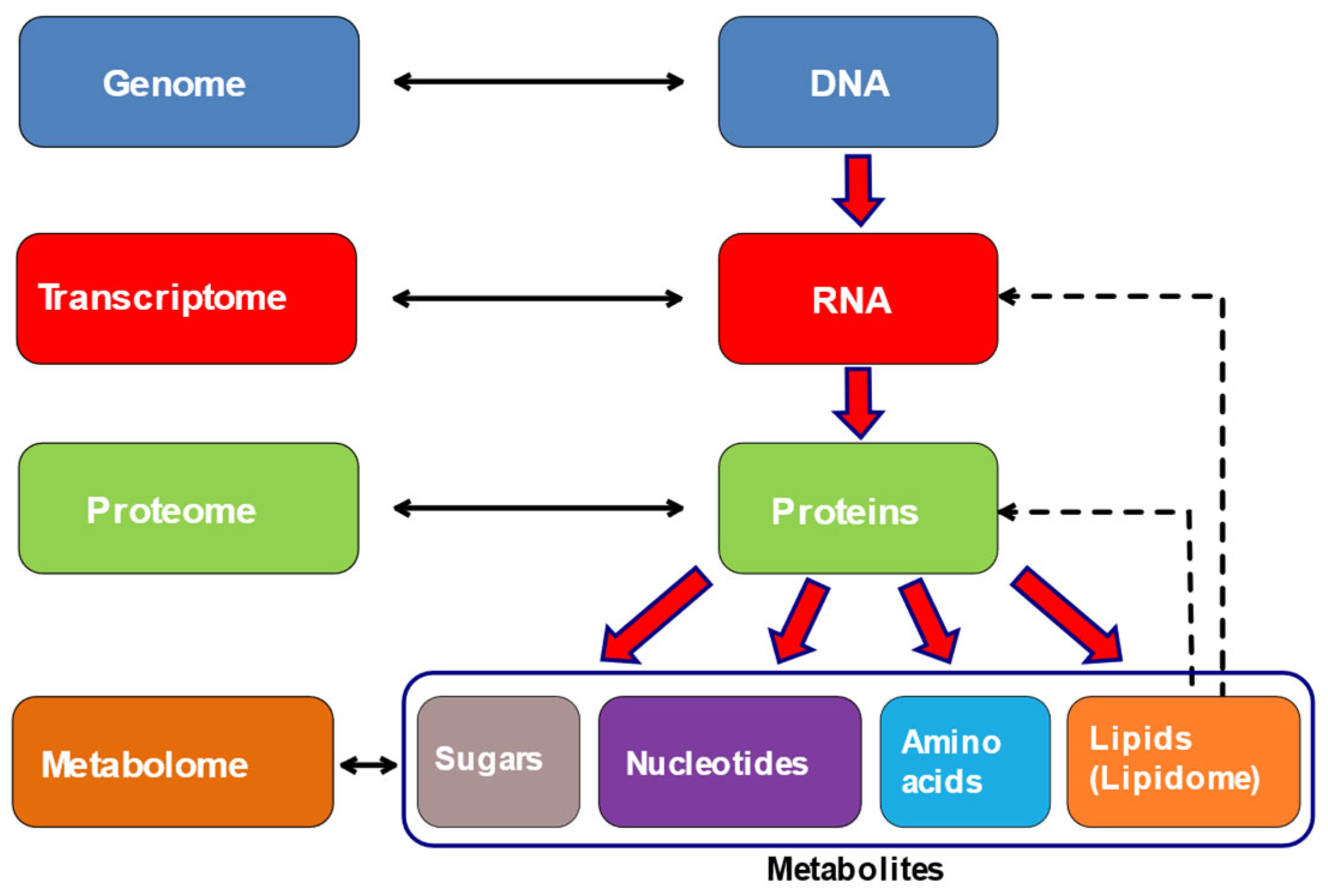 Preprints 179130 g004