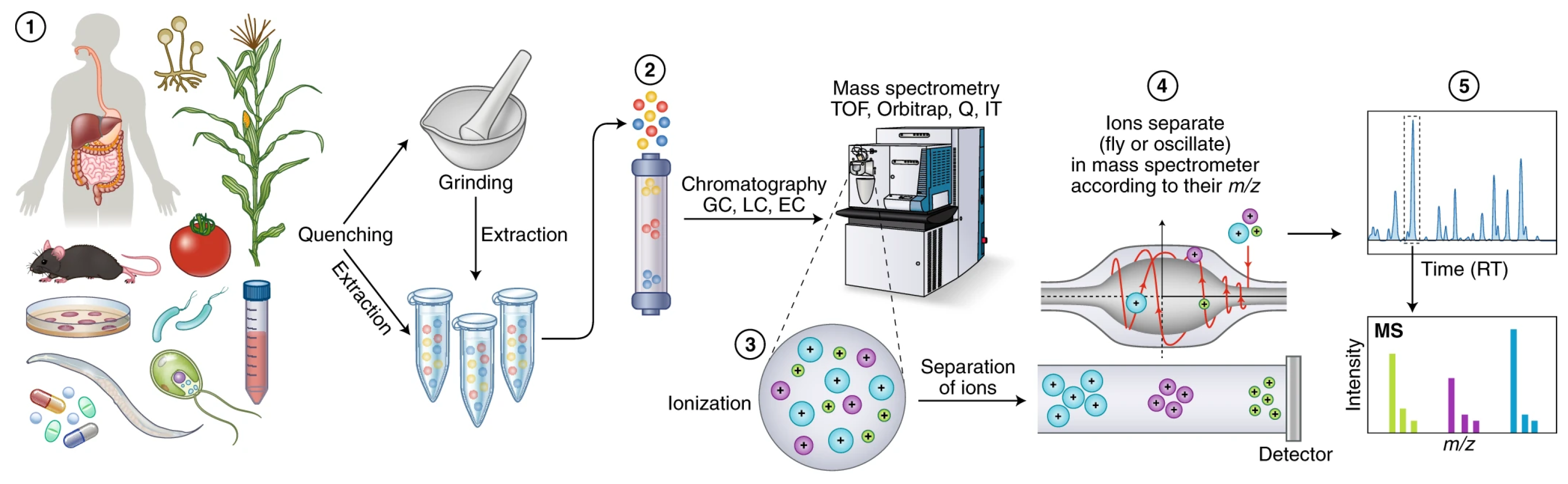 Preprints 179130 g005