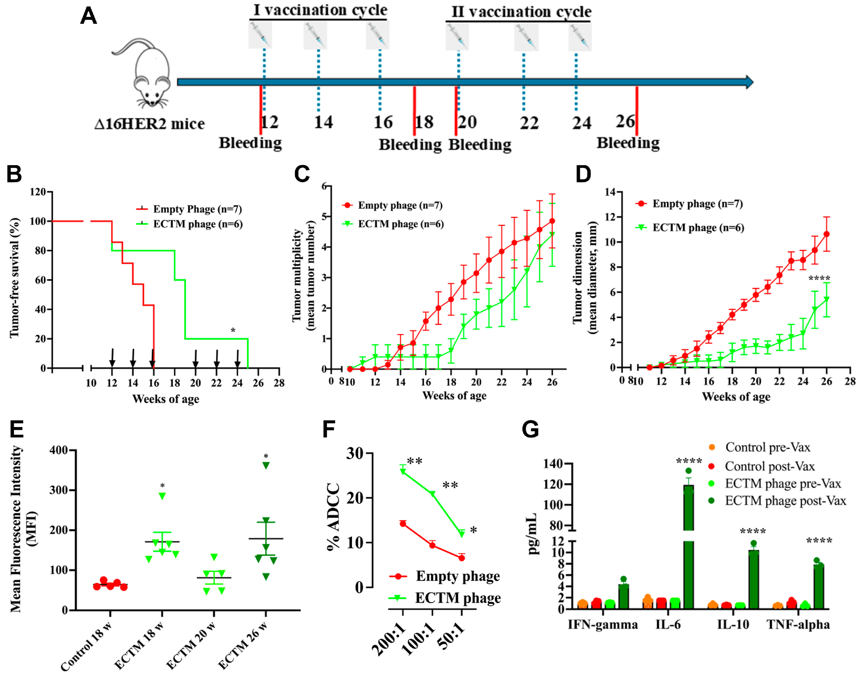 Preprints 218126 g001 Preprints 218126 g001