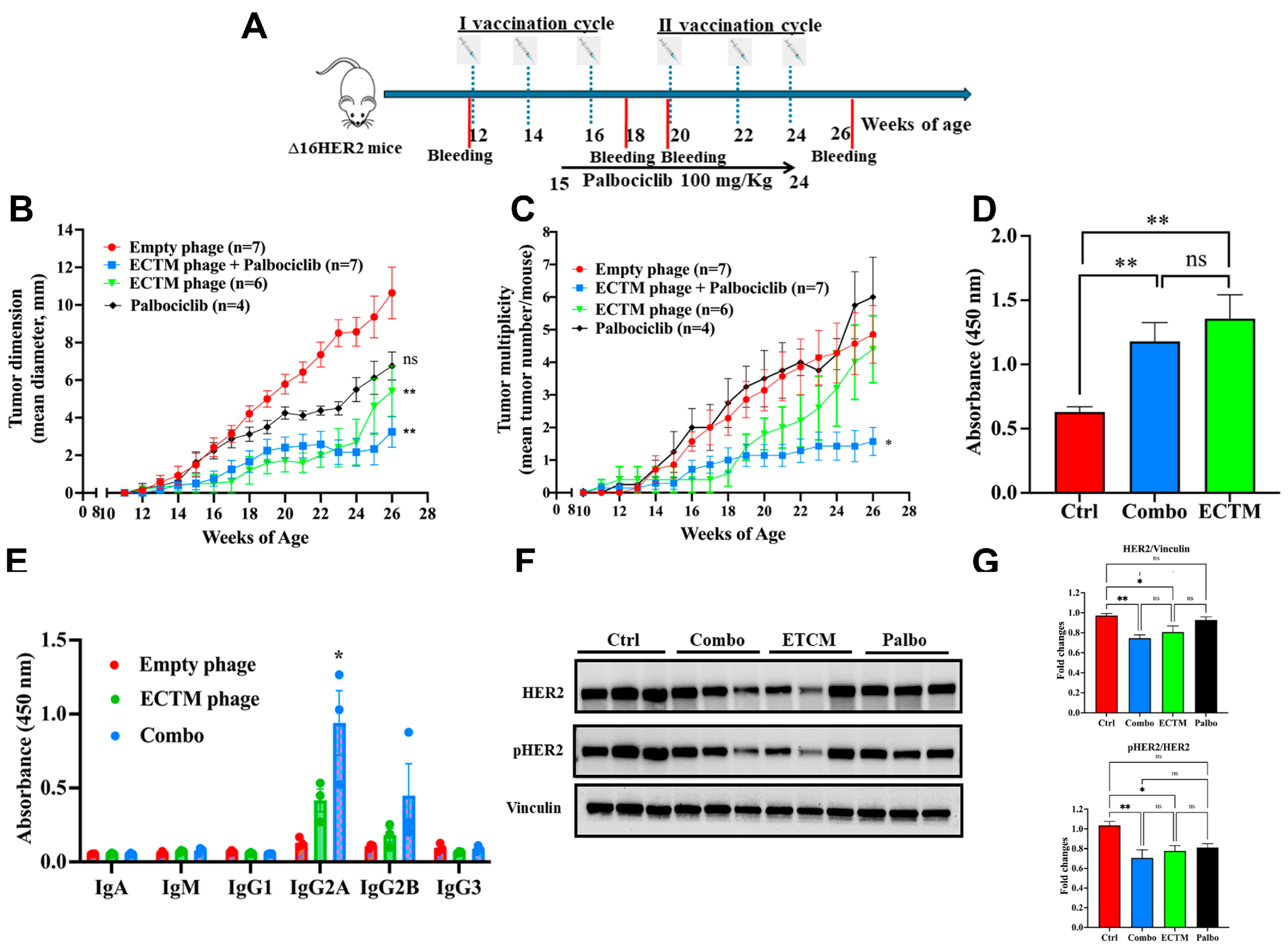 Preprints 218126 g002 Preprints 218126 g002
