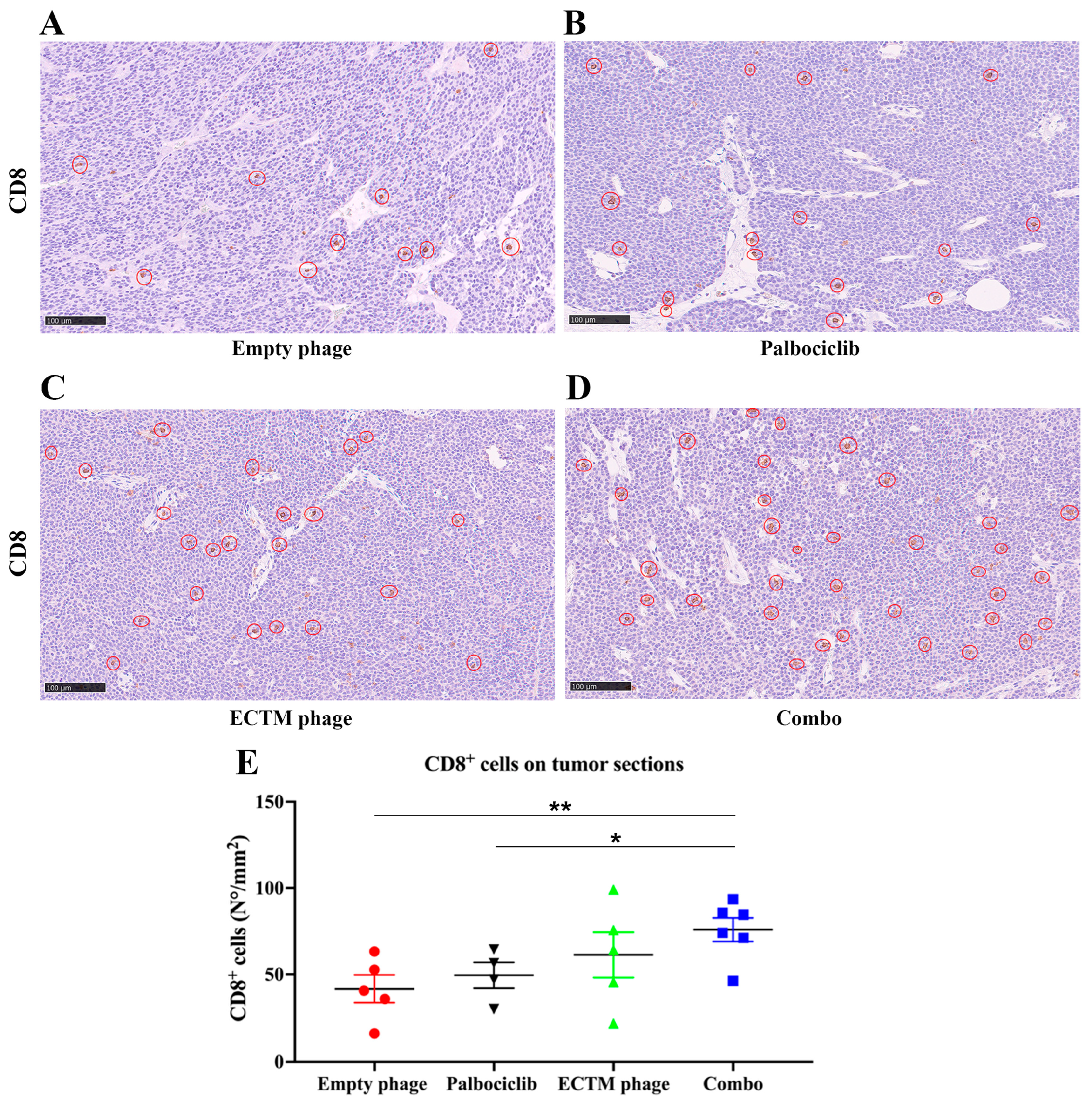 Preprints 218126 g003 Preprints 218126 g003