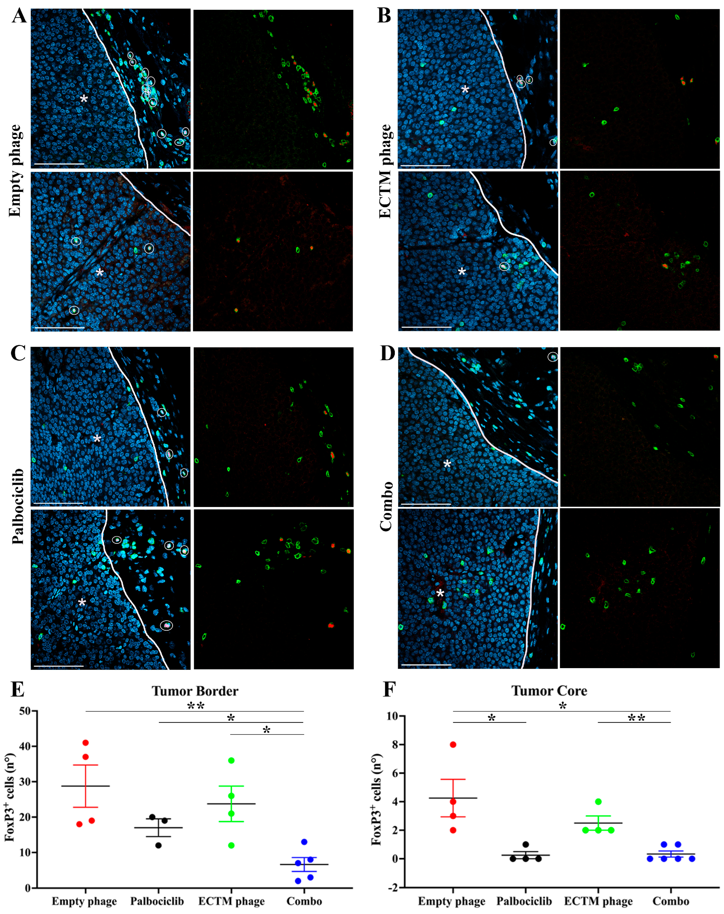 Preprints 218126 g004 Preprints 218126 g004