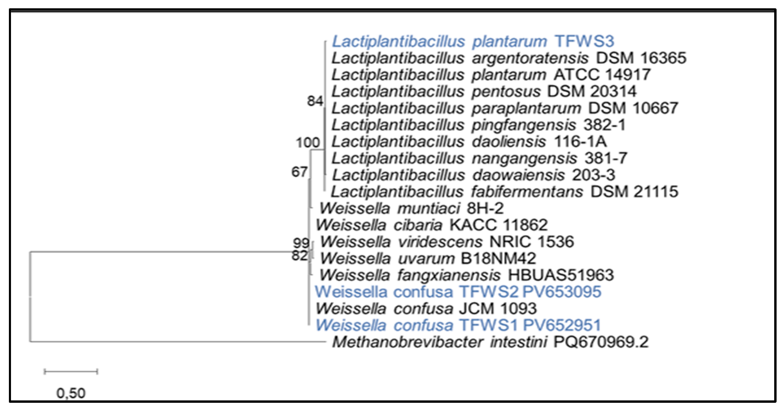 Preprints 164900 g001