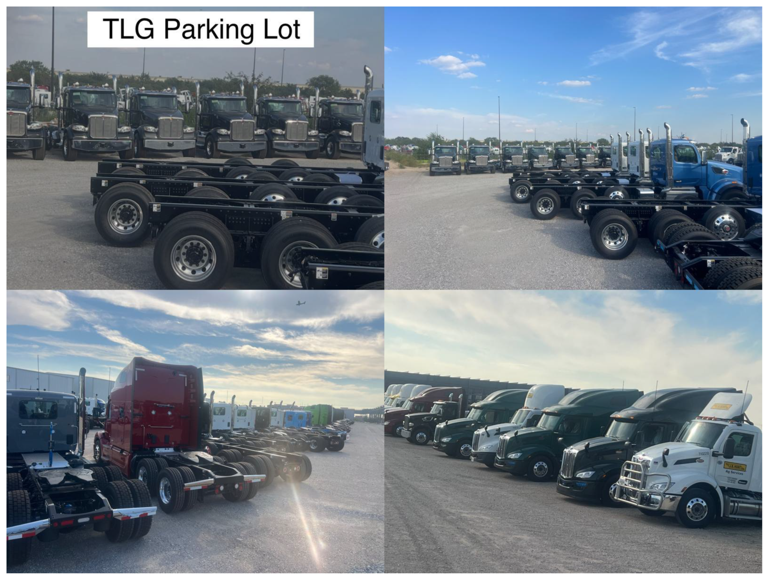 Preprints 177831 g002