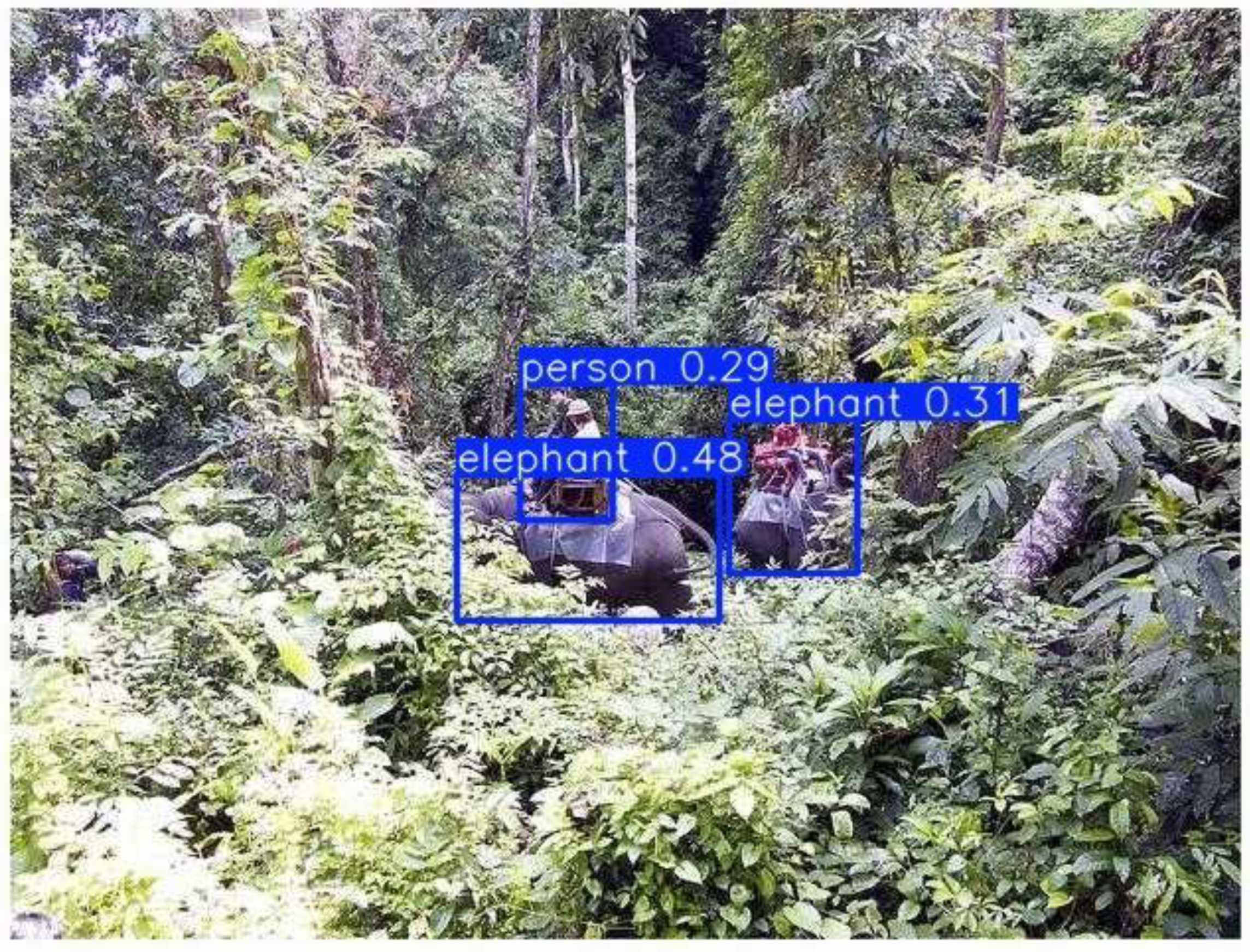 Preprints 177831 g034