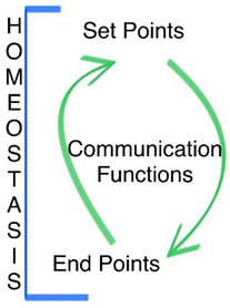 Preprints 115842 i001