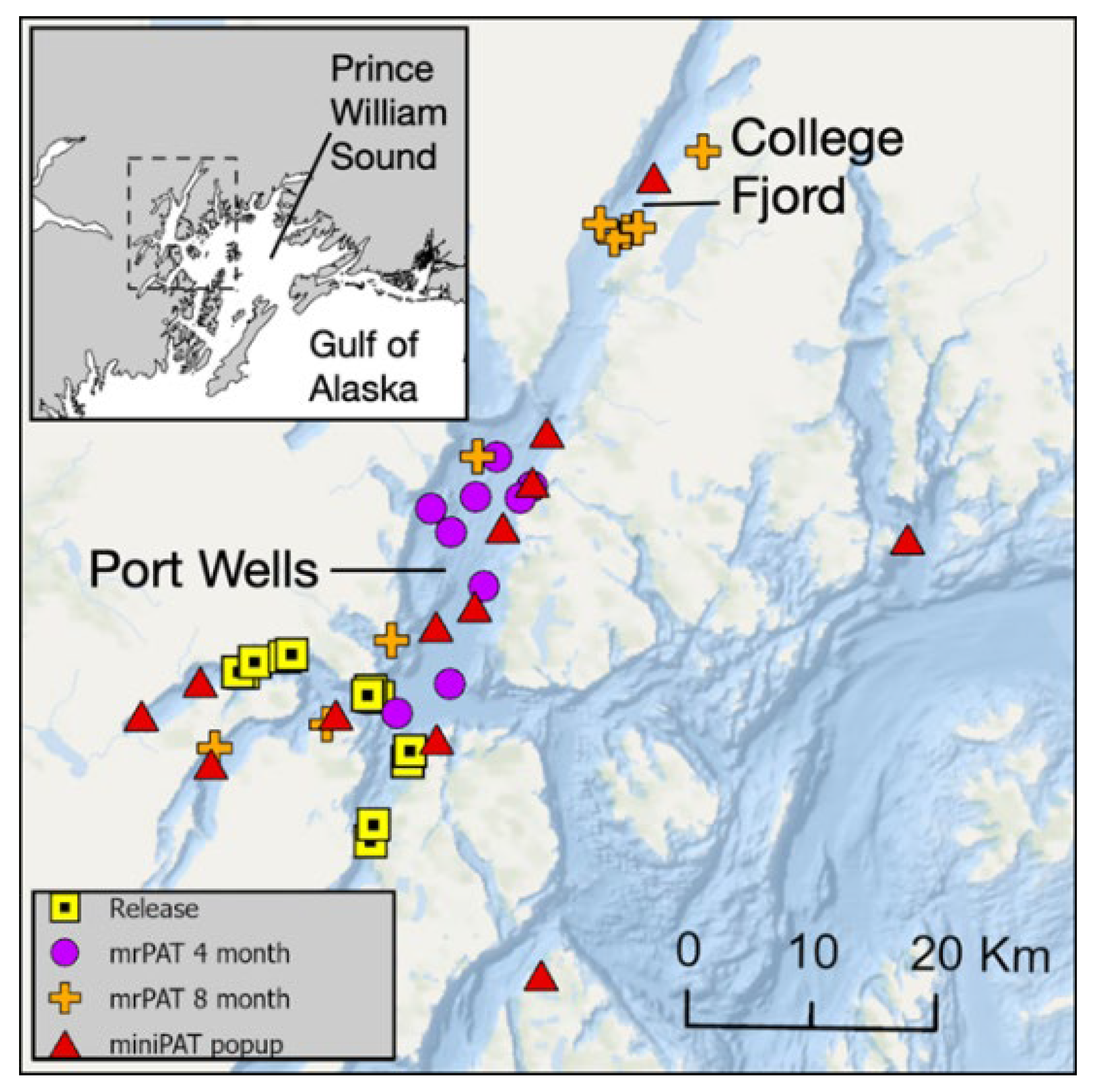 Preprints 191247 g001
