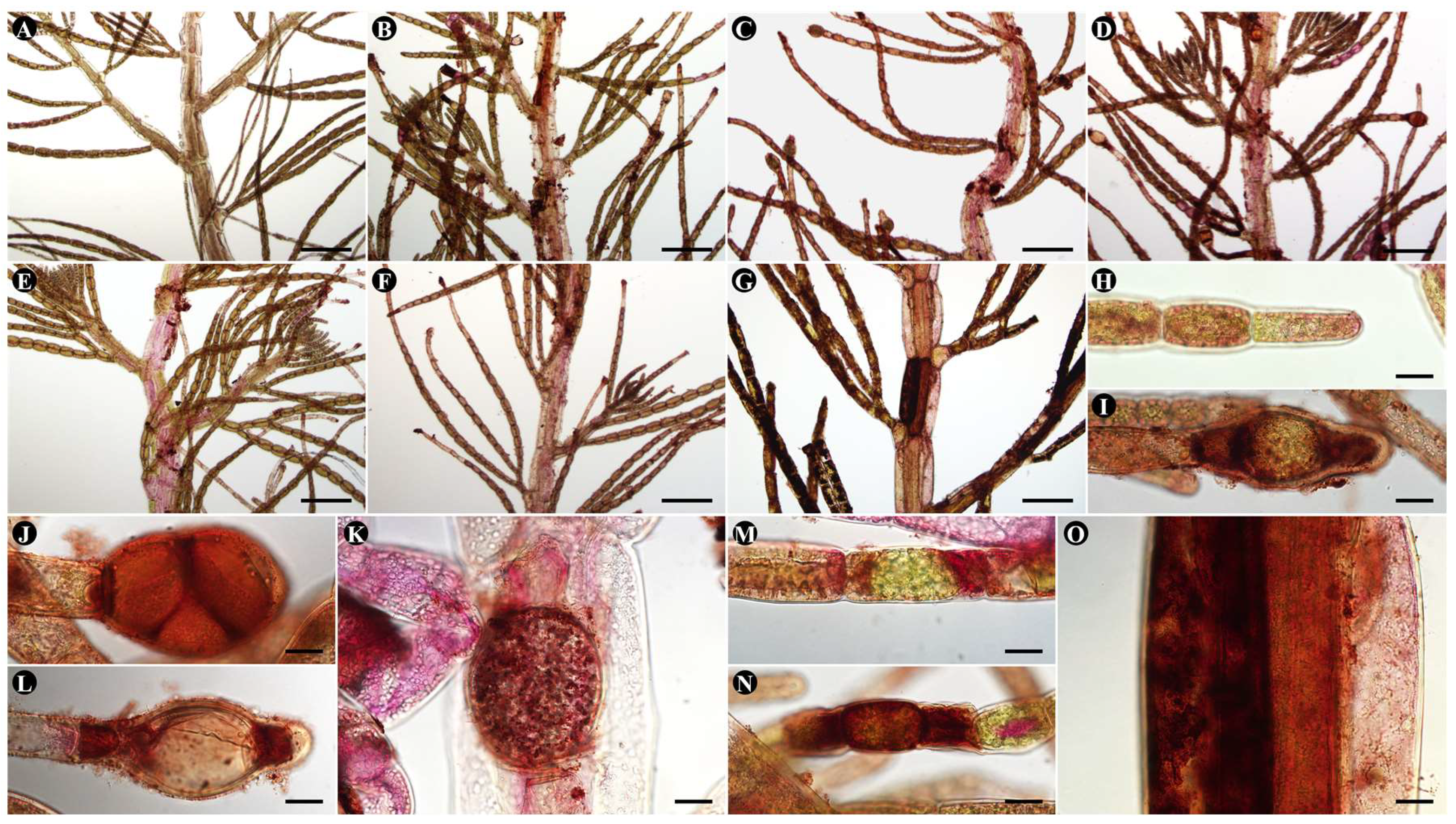 Preprints 151973 g004