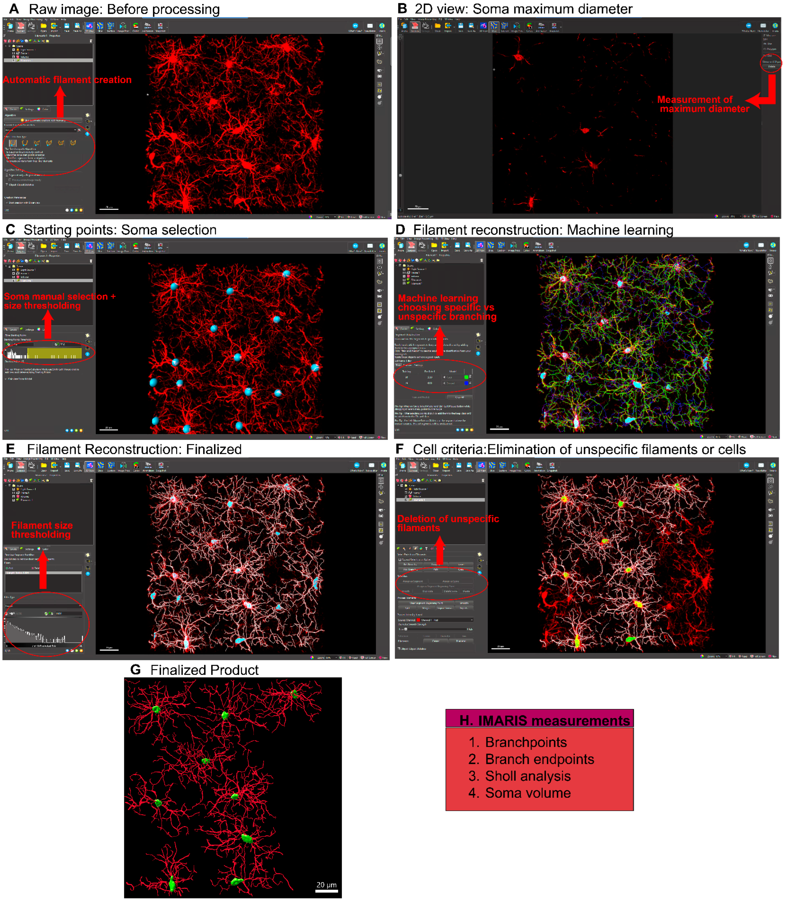 Preprints 168462 g002