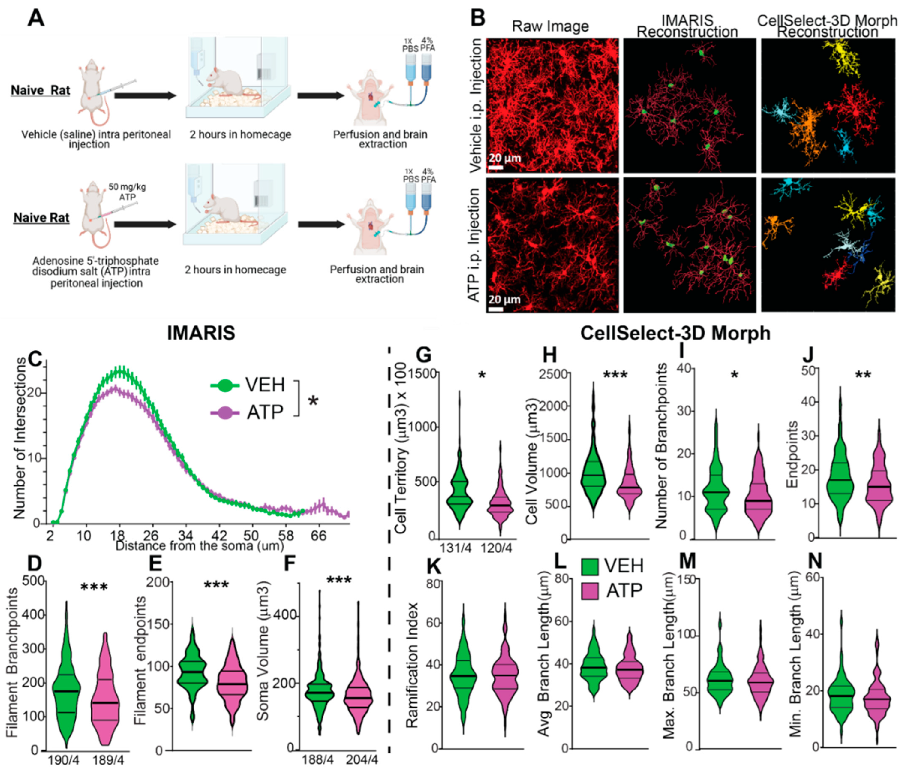 Preprints 168462 g004