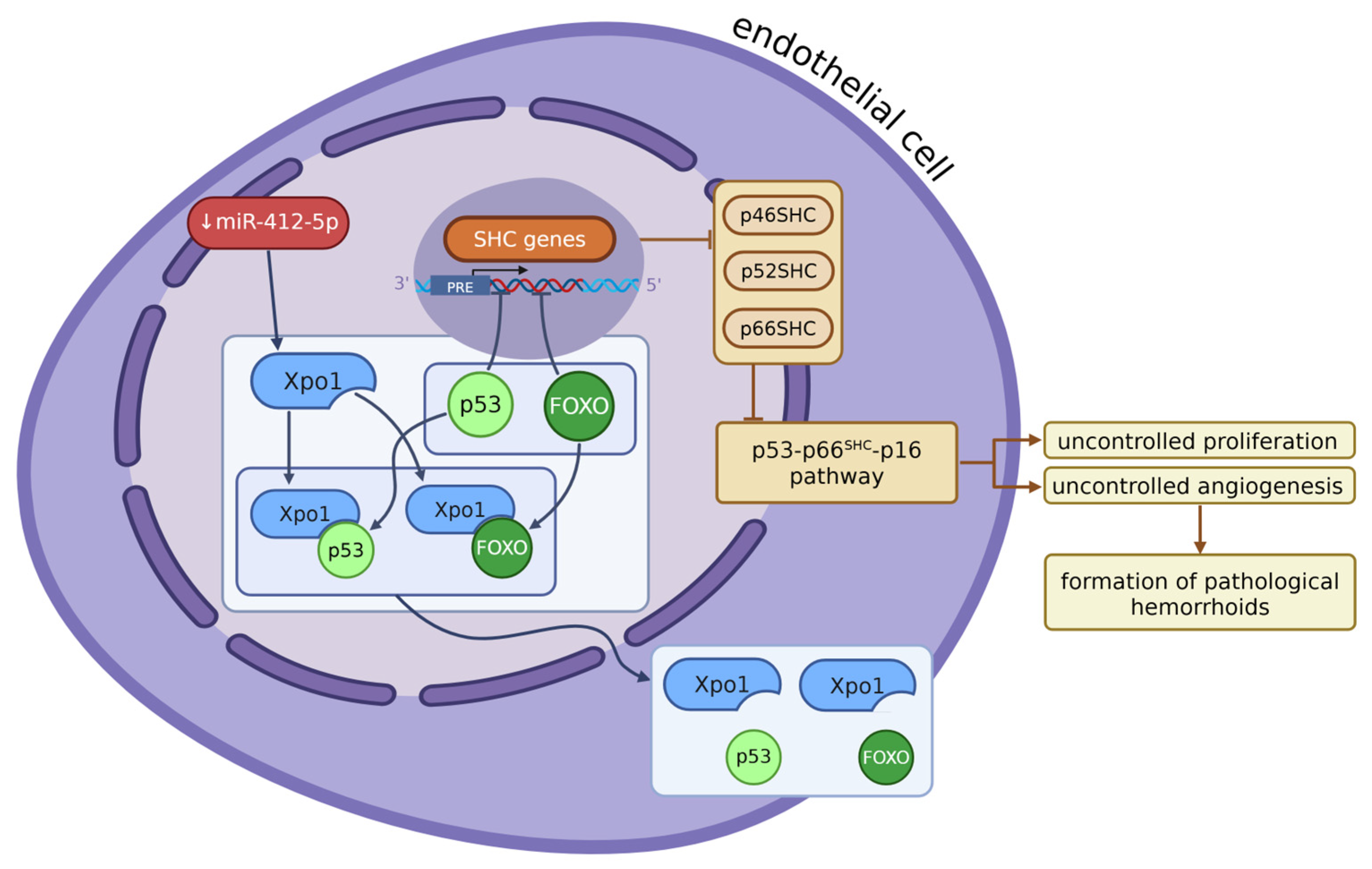 Preprints 169519 g001