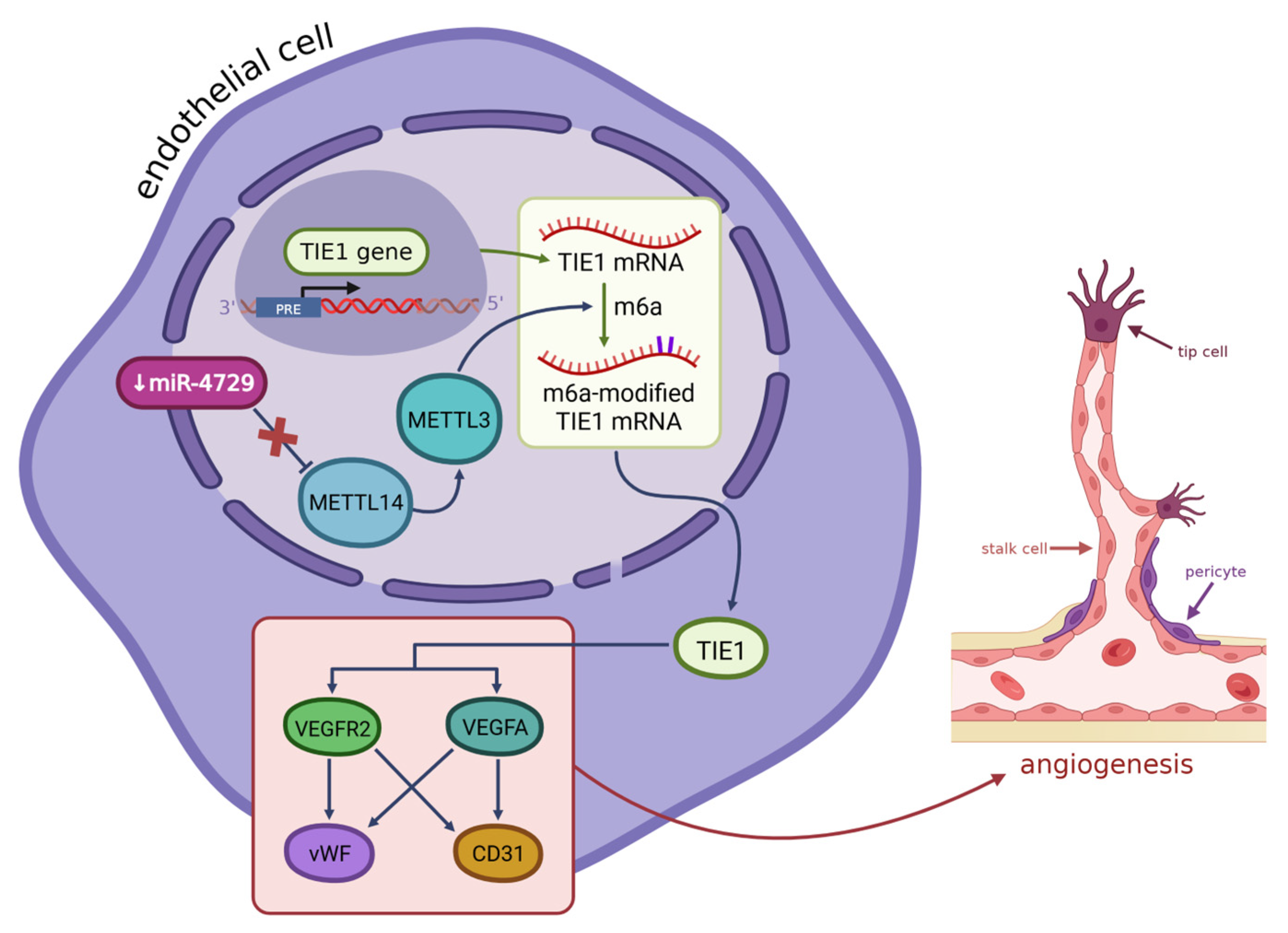 Preprints 169519 g002