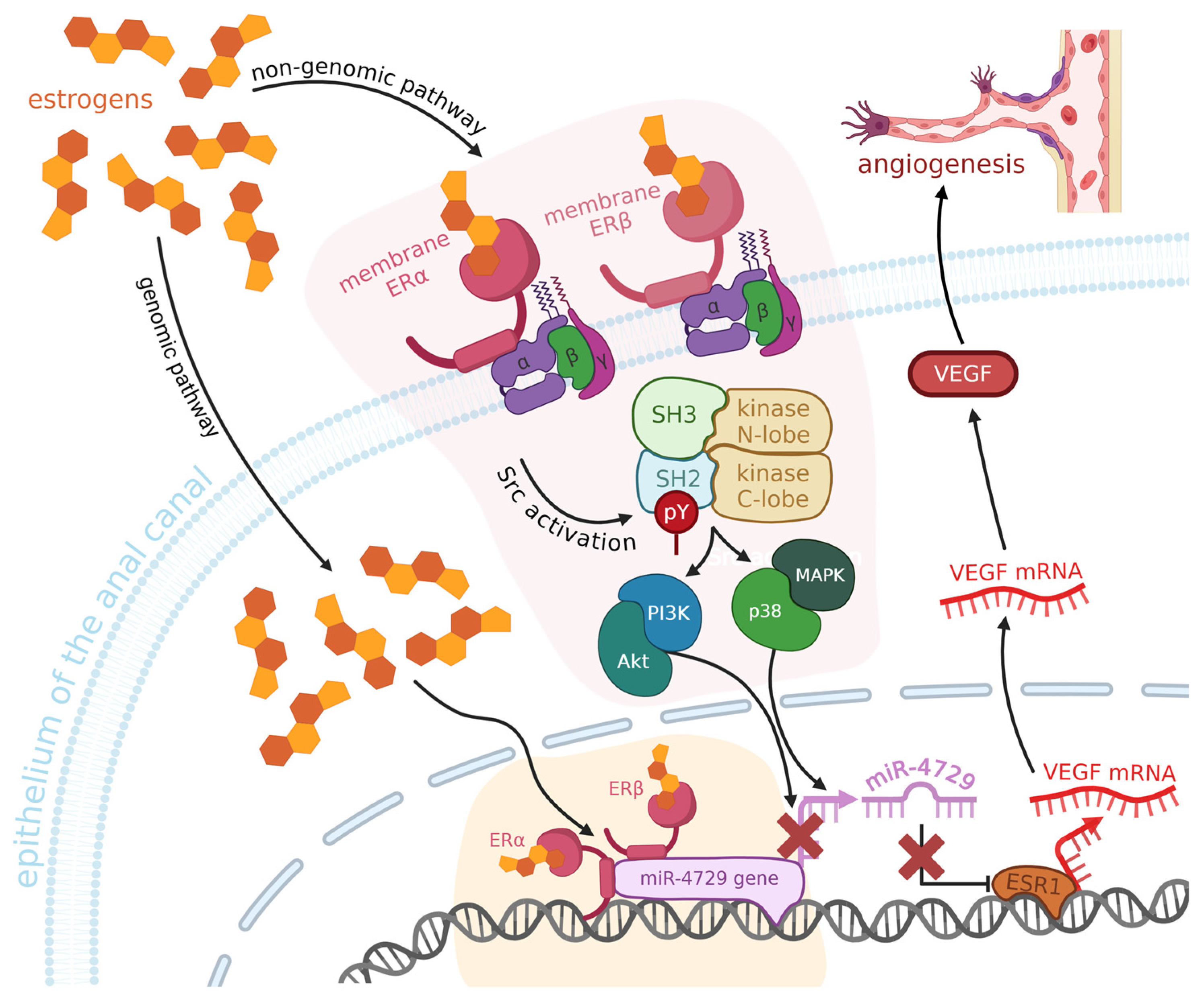 Preprints 169519 g003