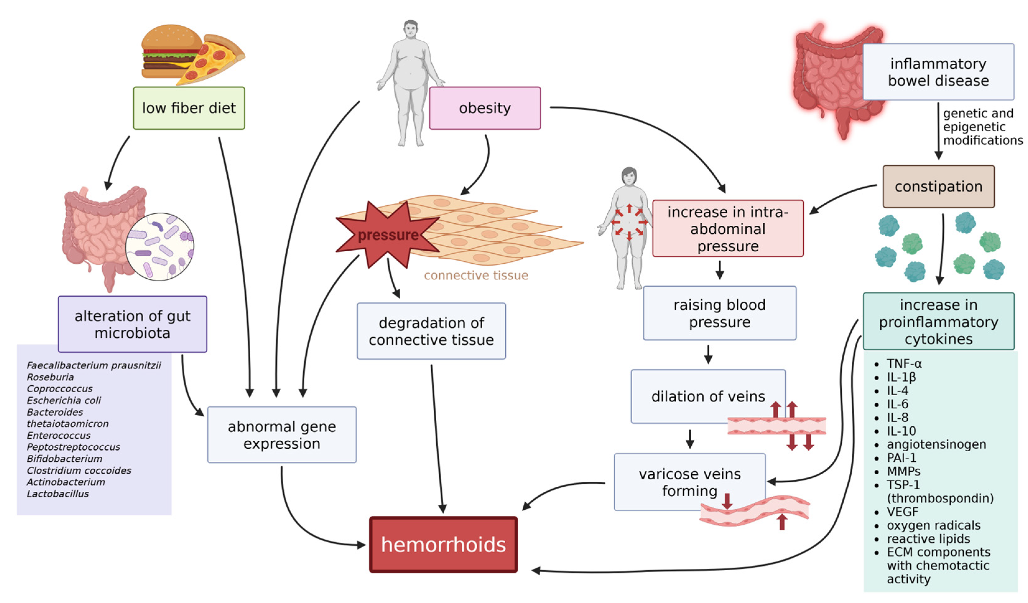 Preprints 169519 g004