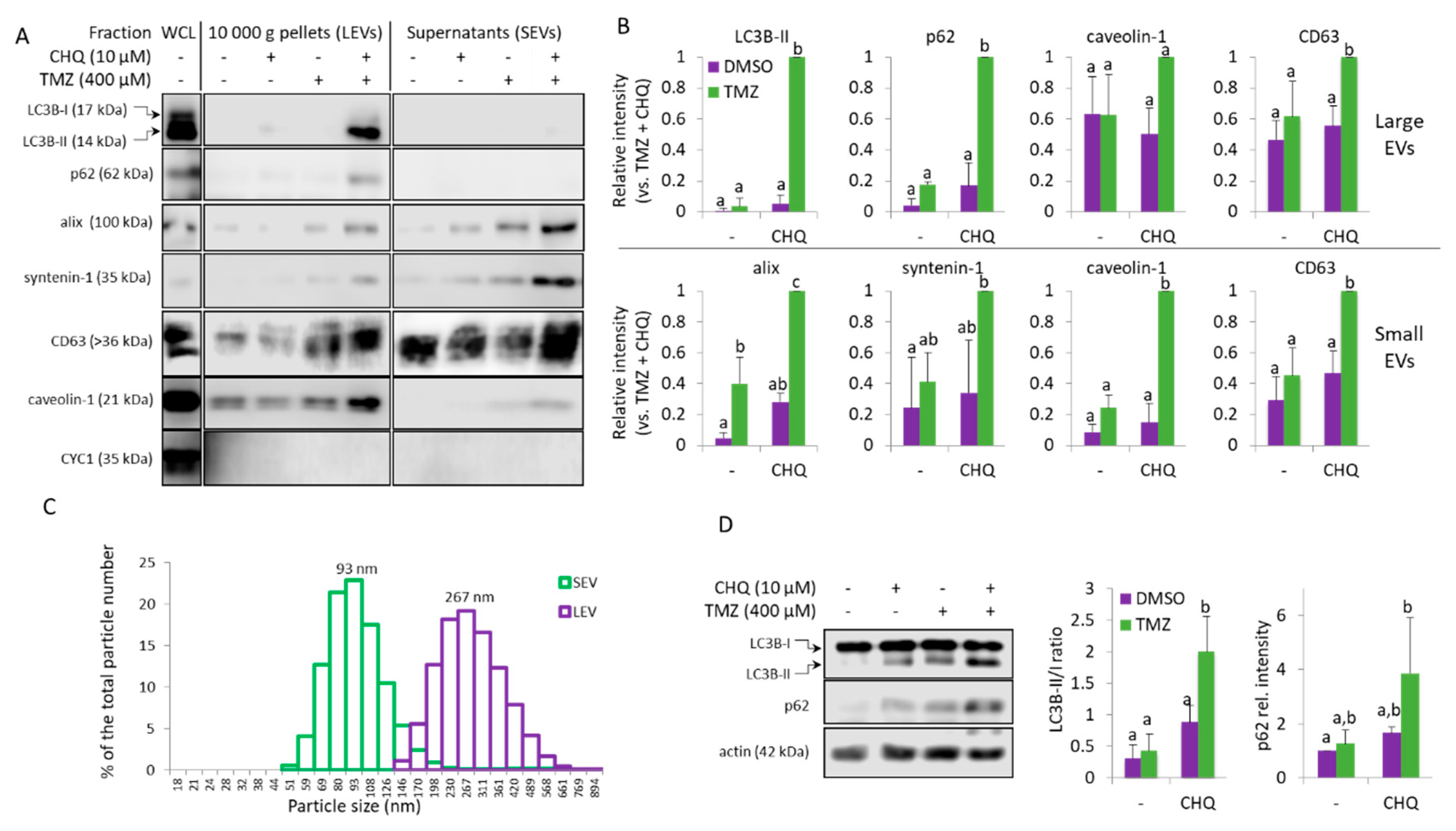 Preprints 173634 g002