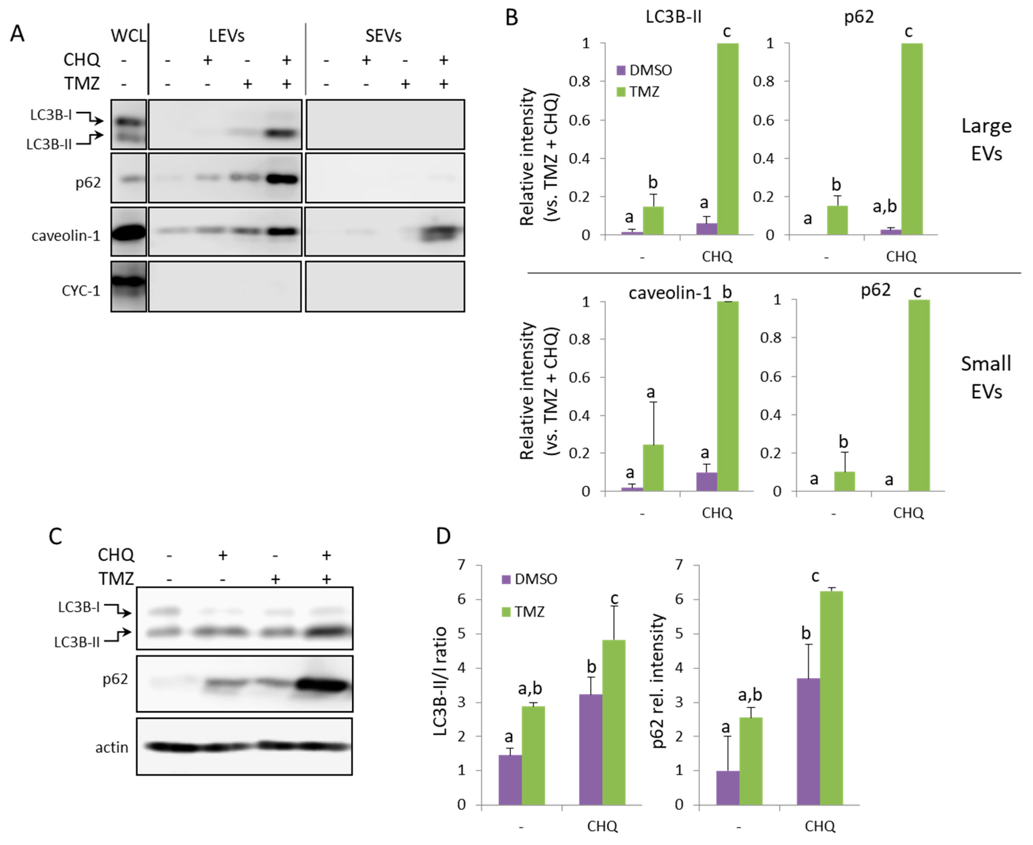 Preprints 173634 g003