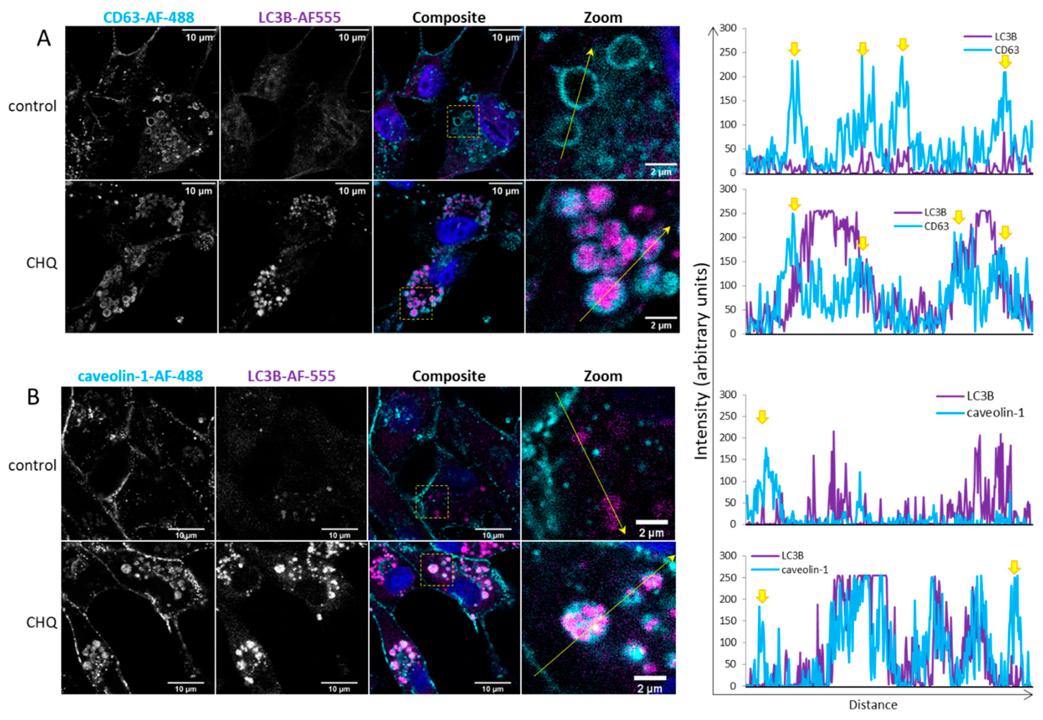 Preprints 173634 g004