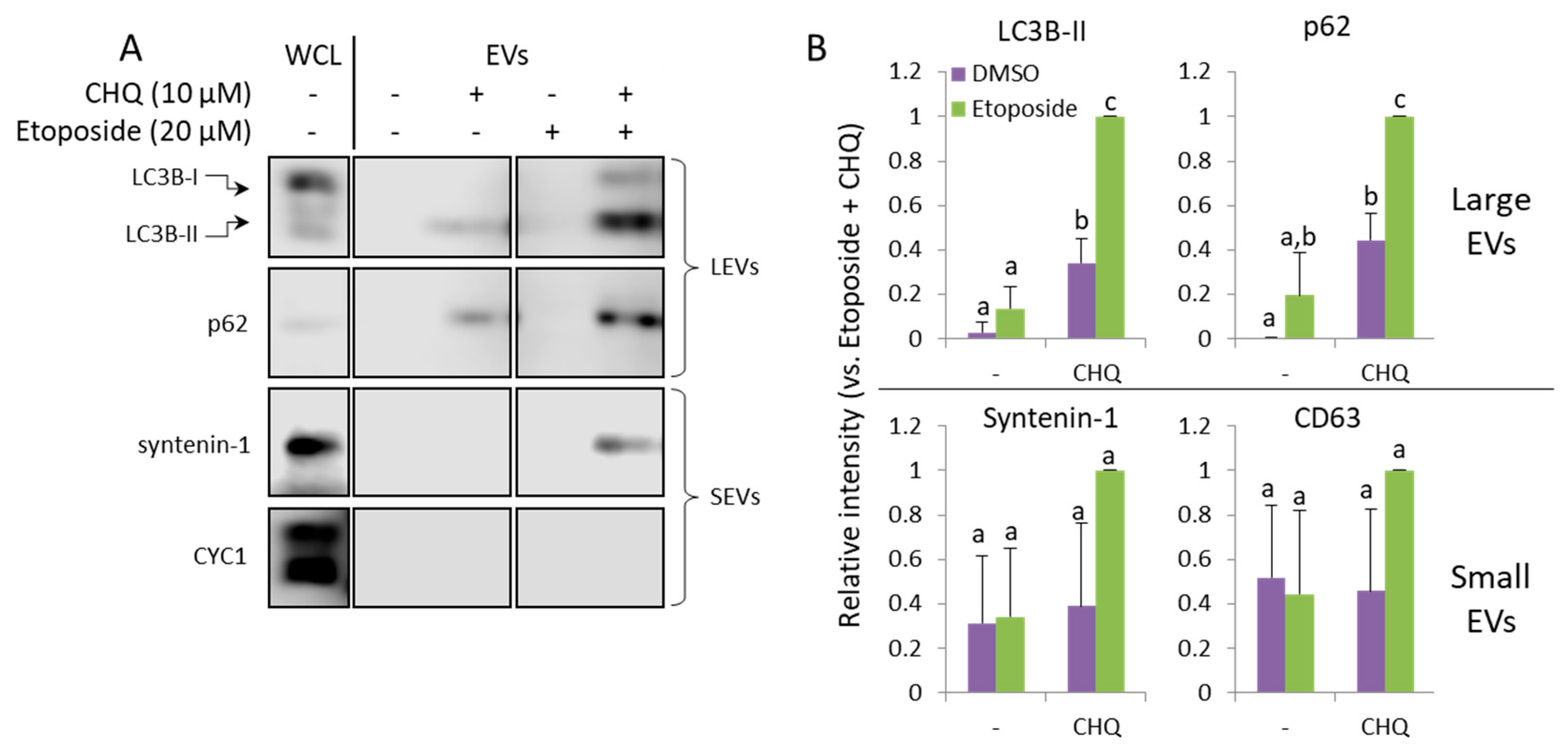 Preprints 173634 g005