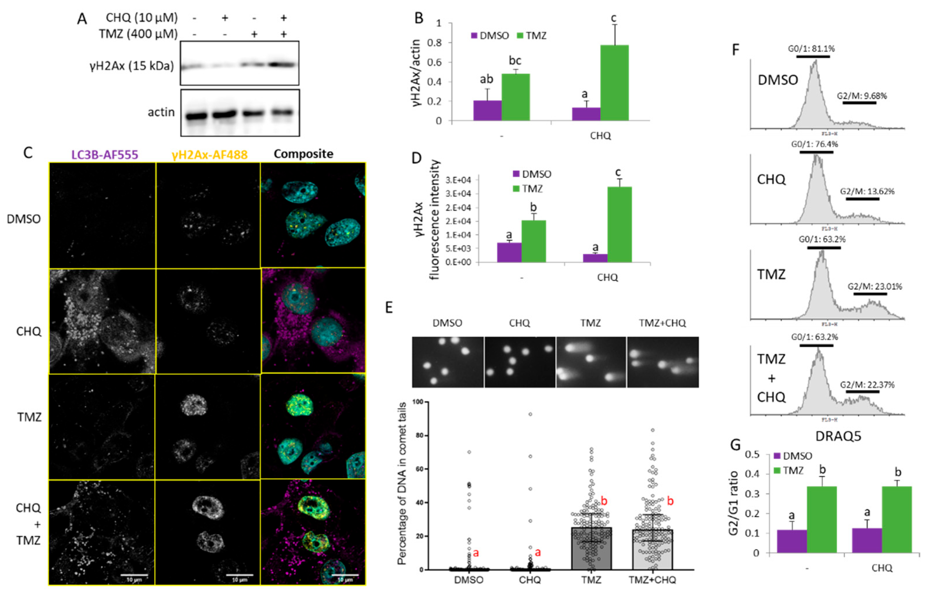 Preprints 173634 g006
