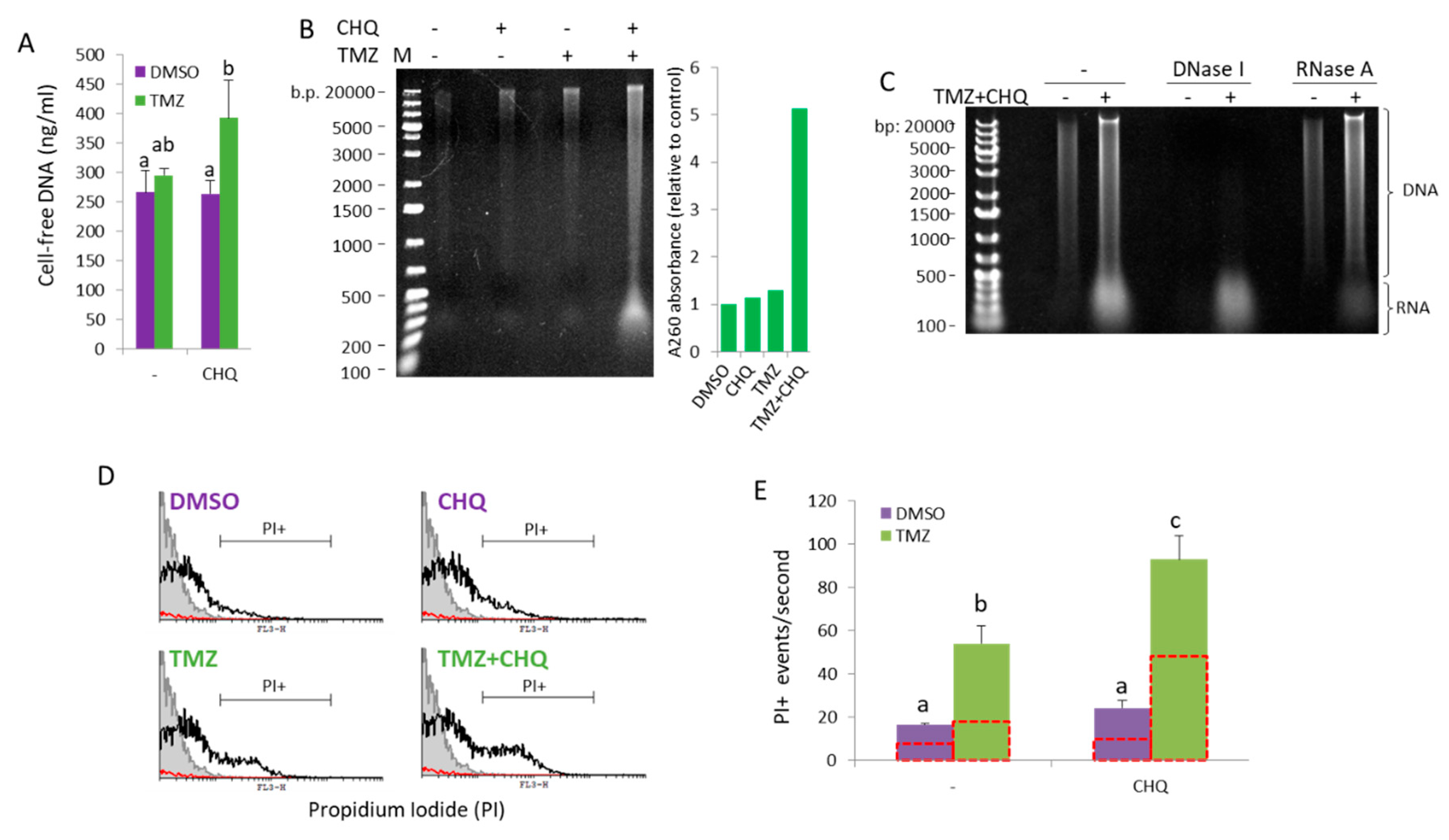 Preprints 173634 g007
