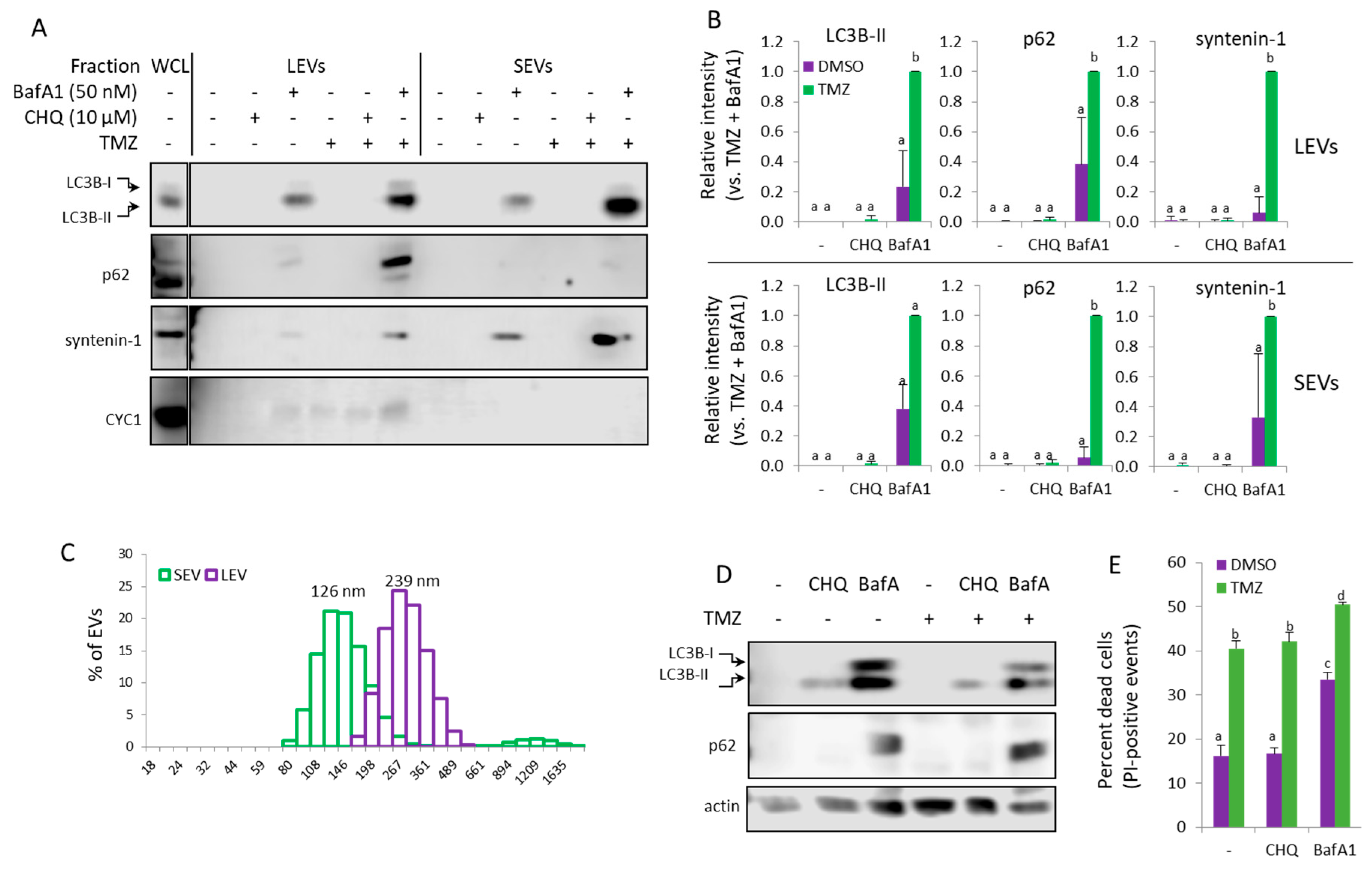 Preprints 173634 g008