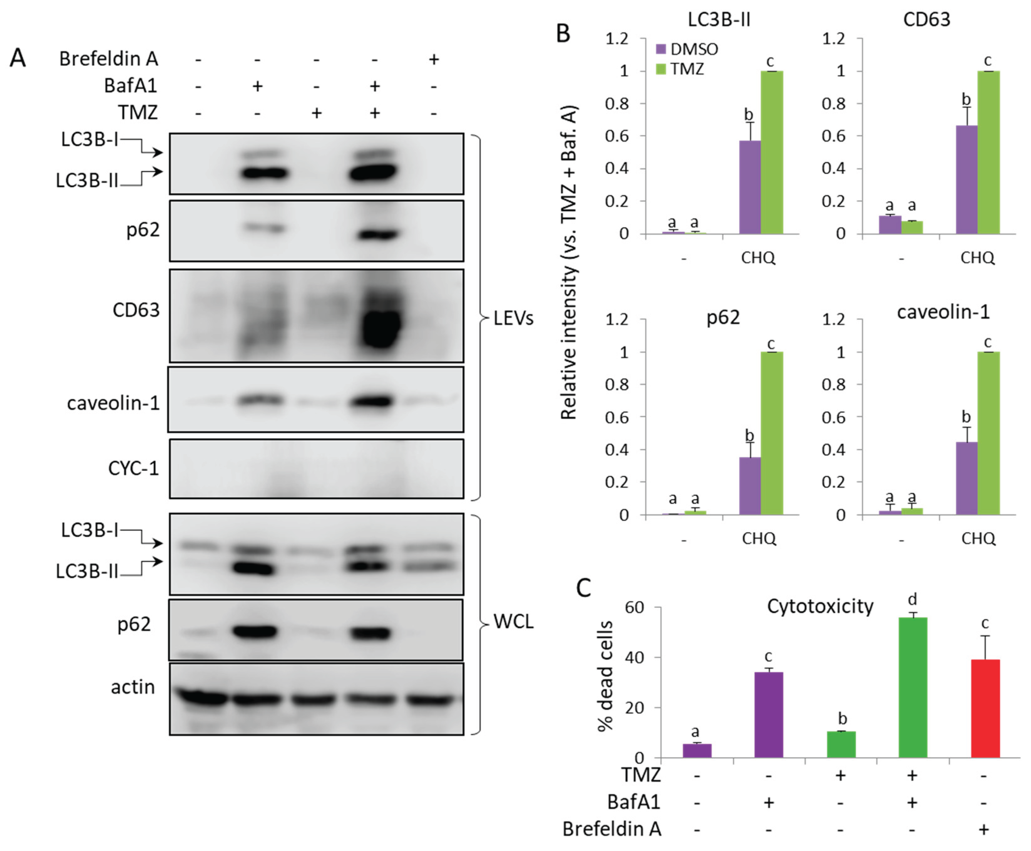 Preprints 173634 g009