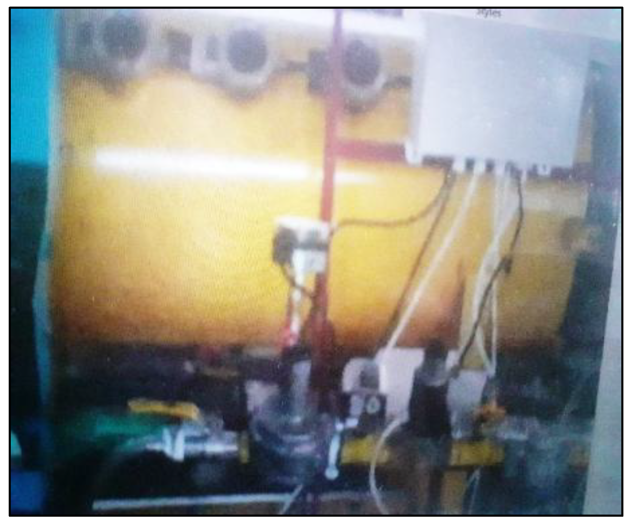 Preprints 147361 g002