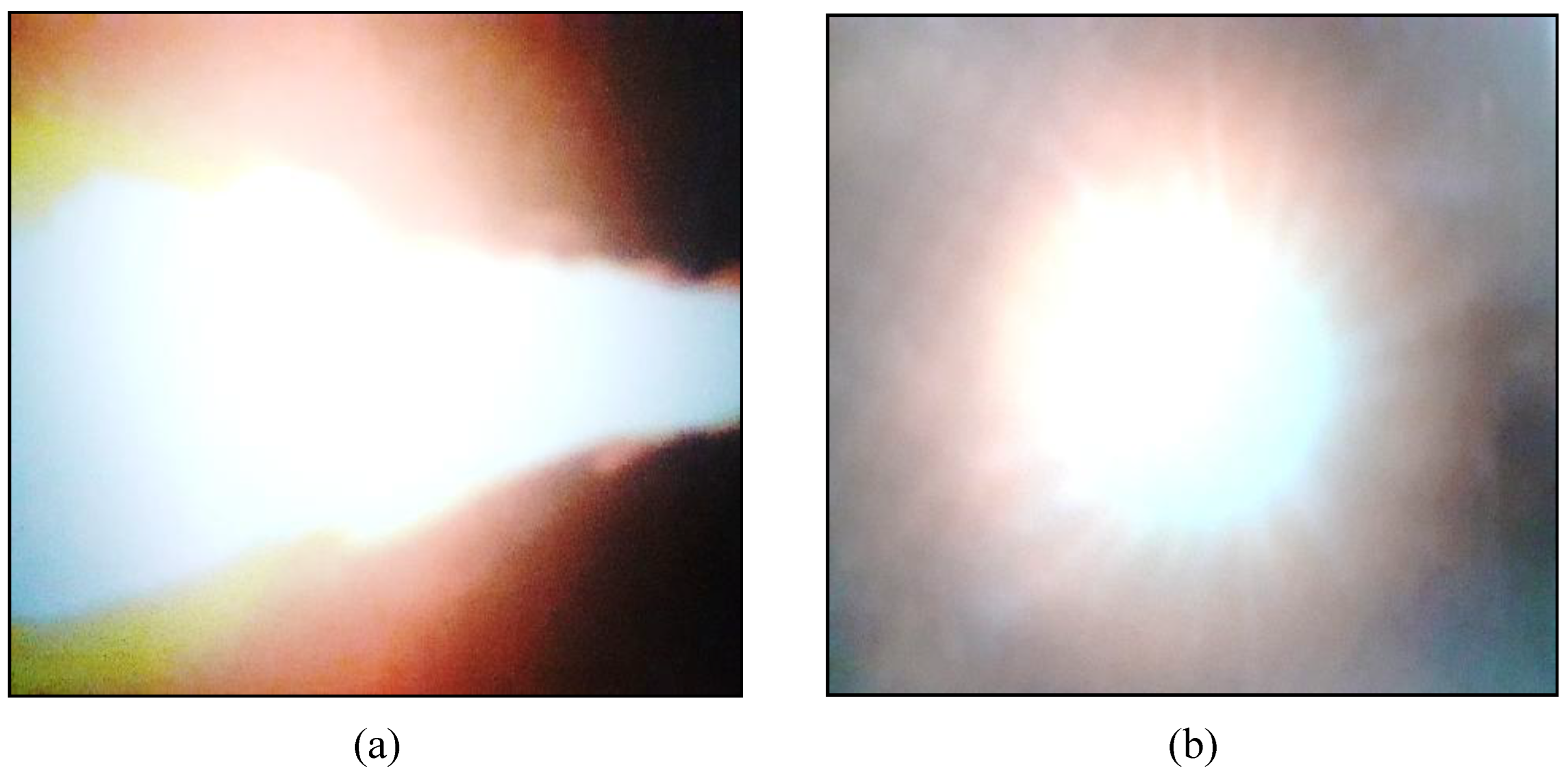 Preprints 147361 g003