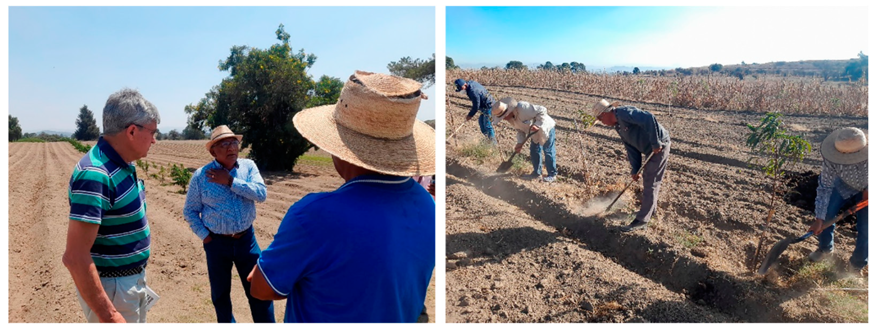 Preprints 157963 g005