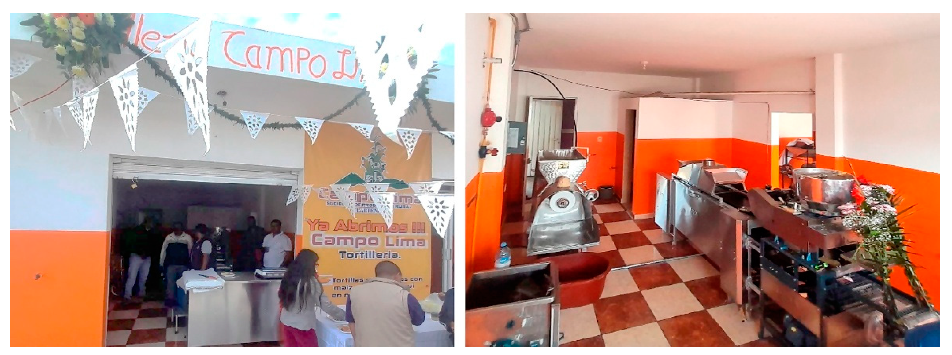 Preprints 157963 g007