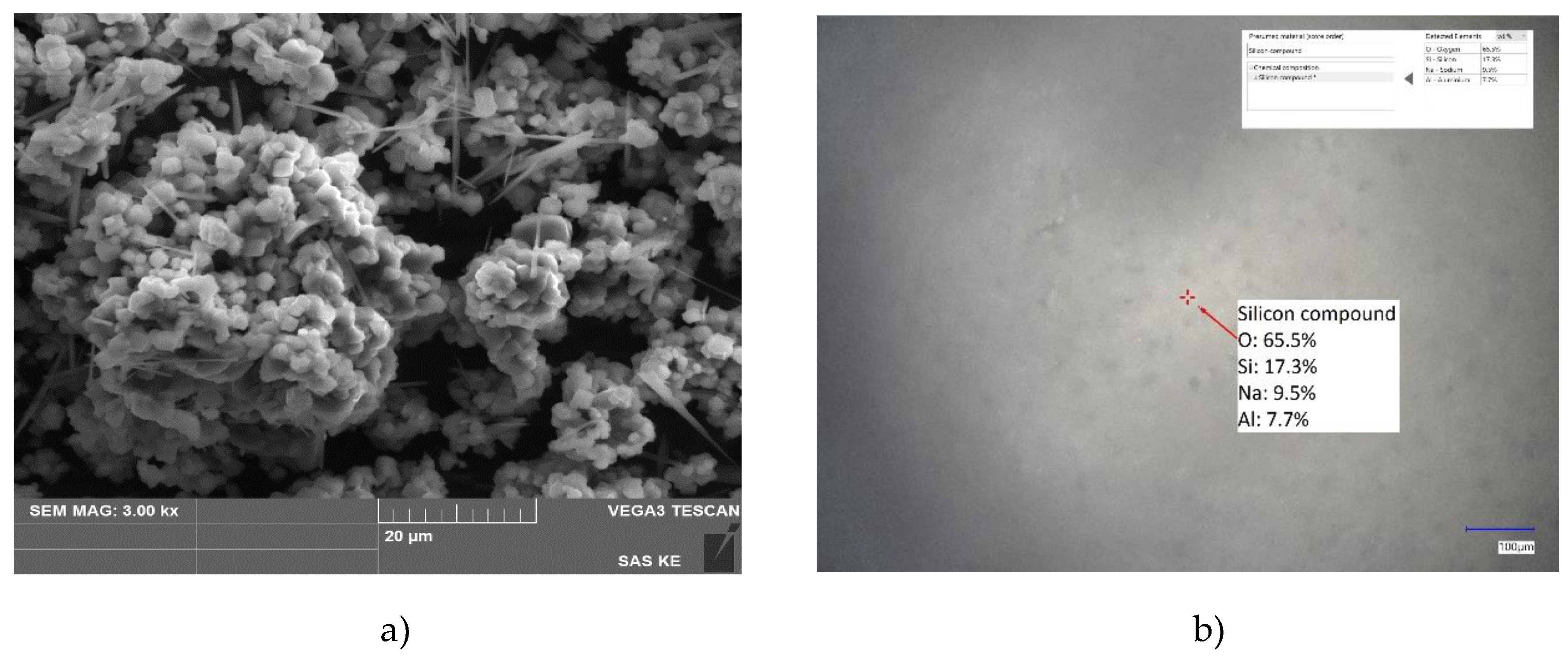 Preprints 145707 g004