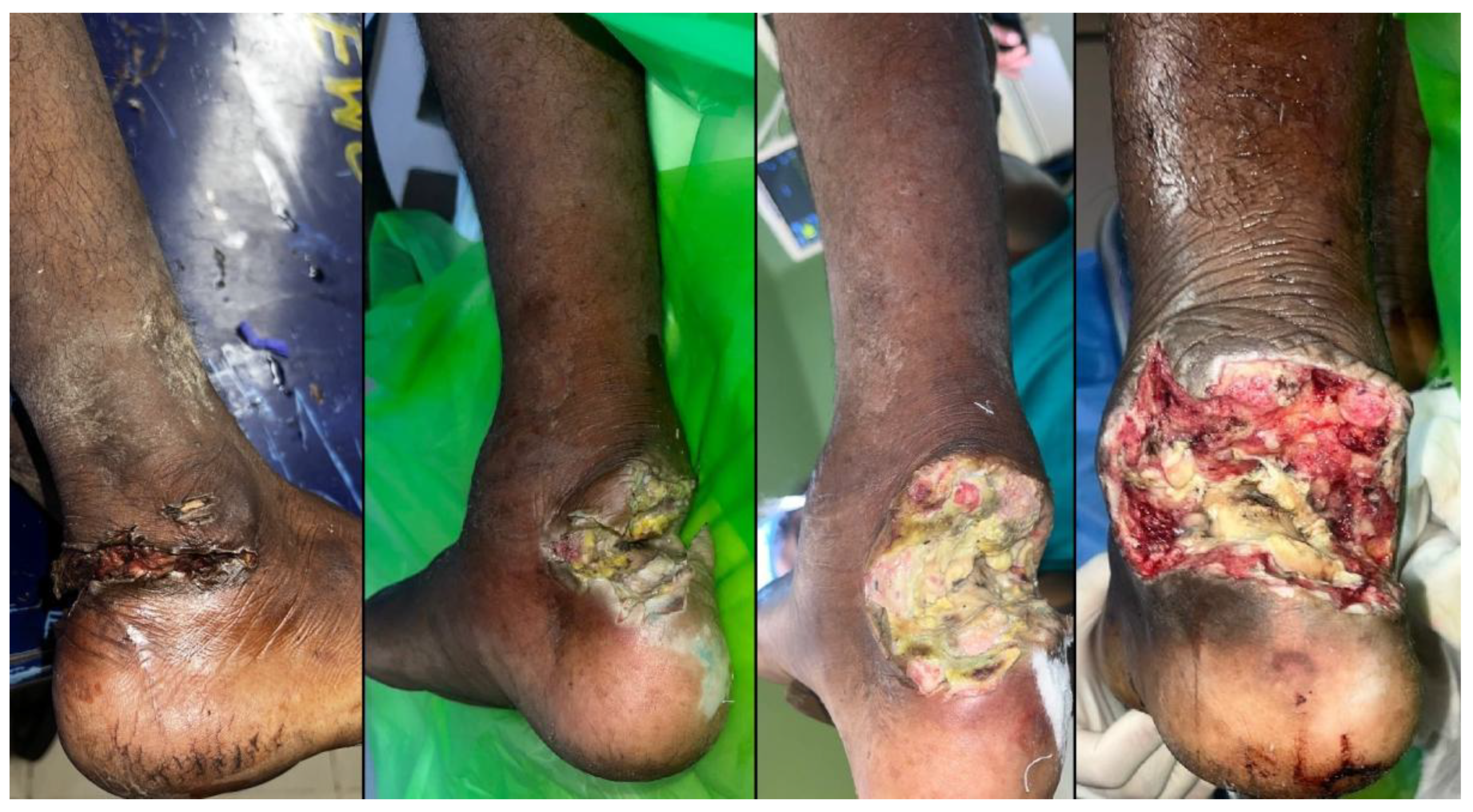 Preprints 193168 g001