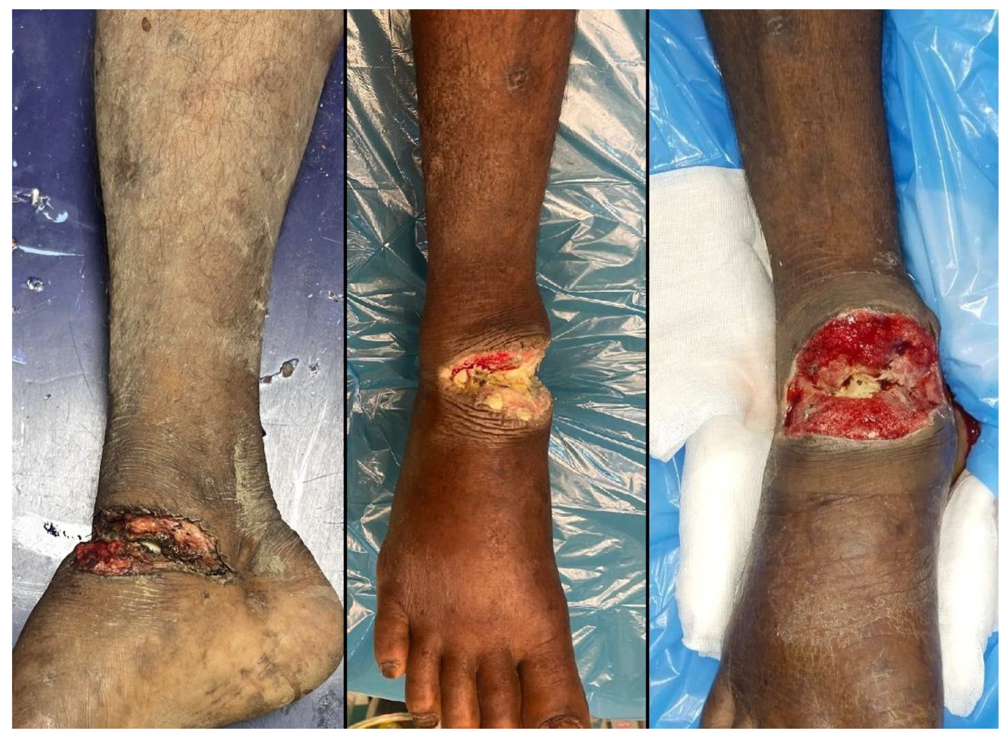 Preprints 193168 g002