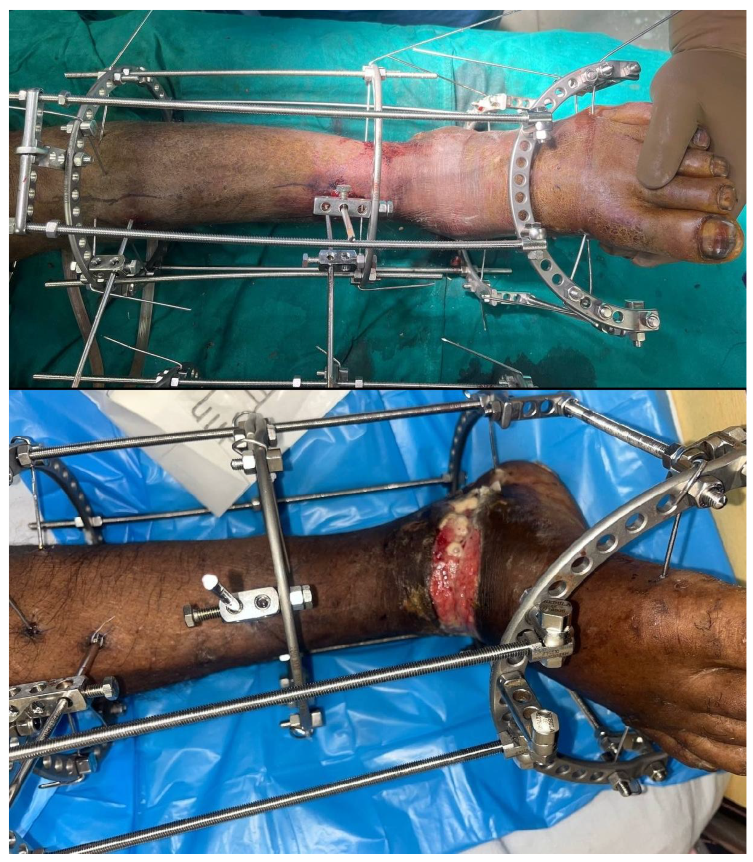 Preprints 193168 g003