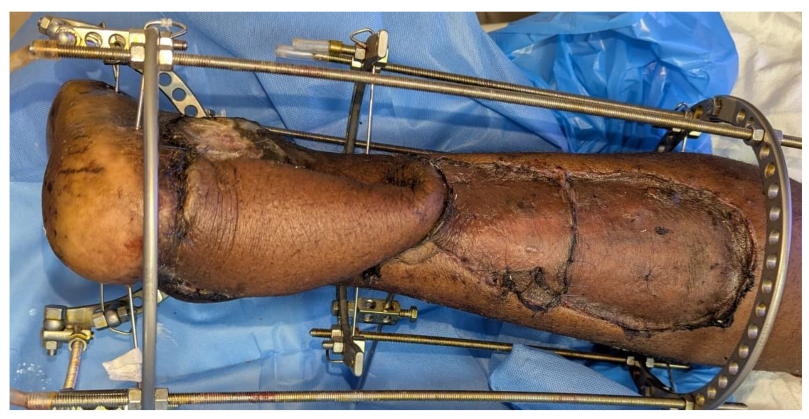 Preprints 193168 g004