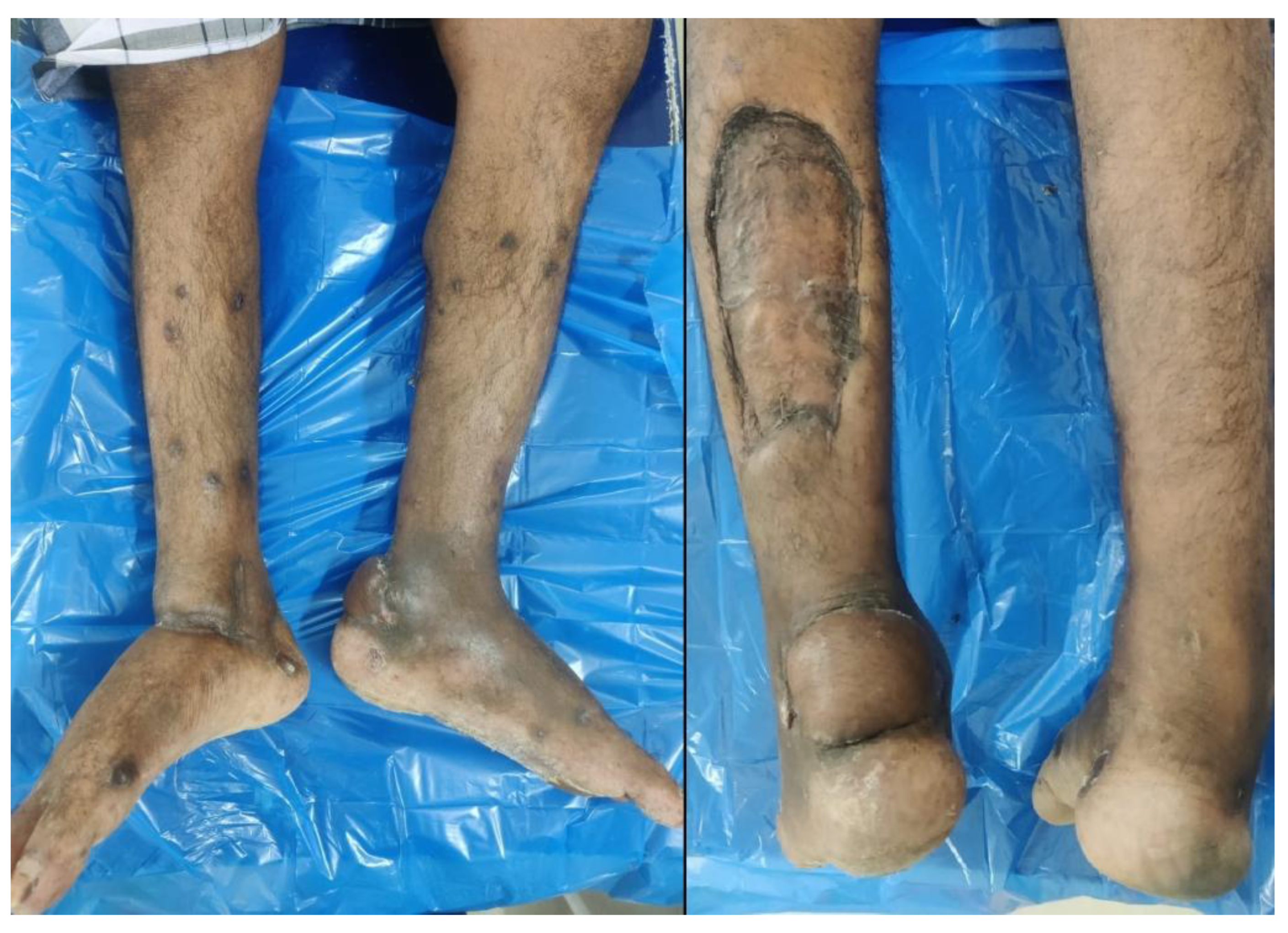 Preprints 193168 g006