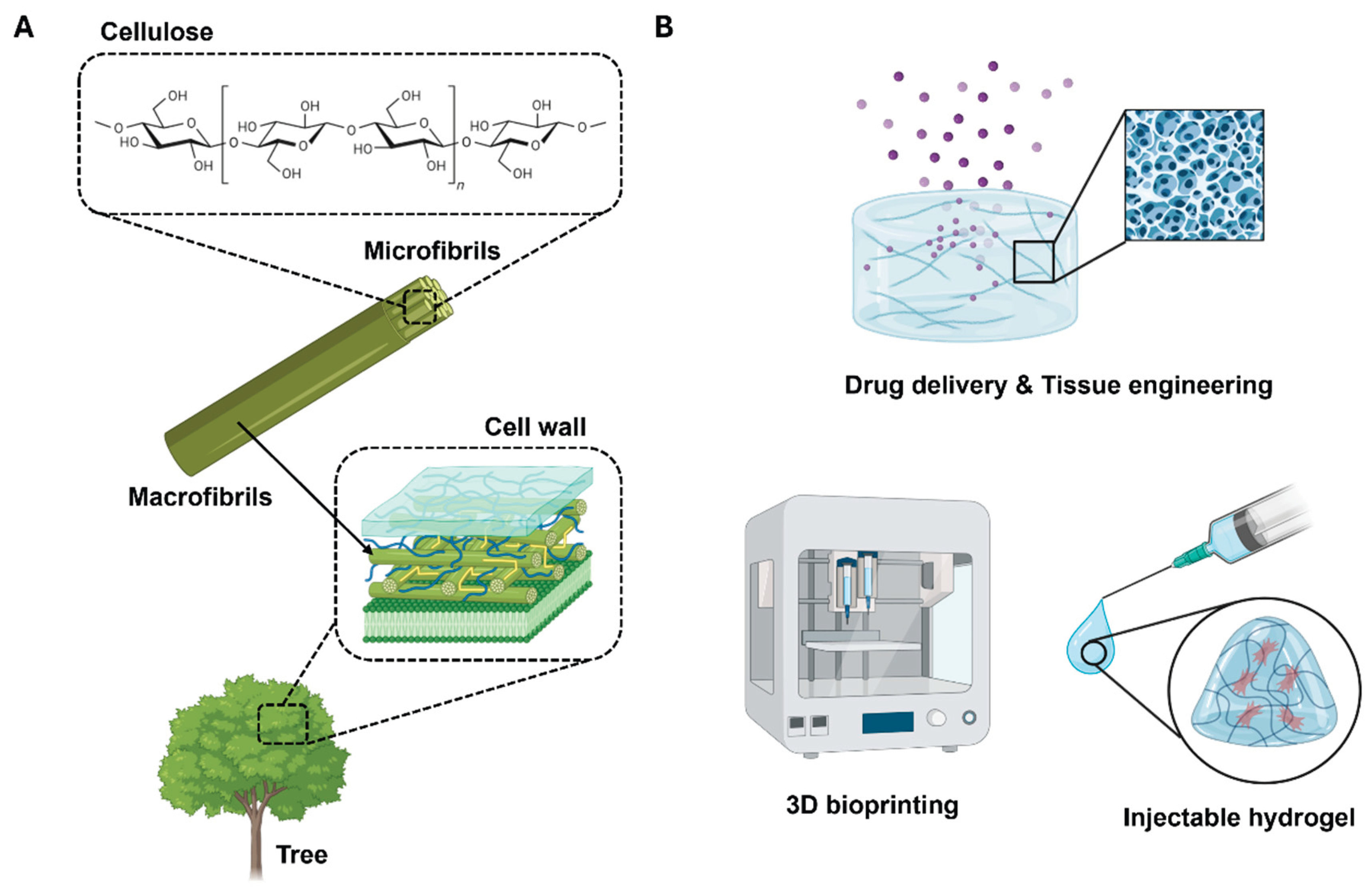 Preprints 169086 g001